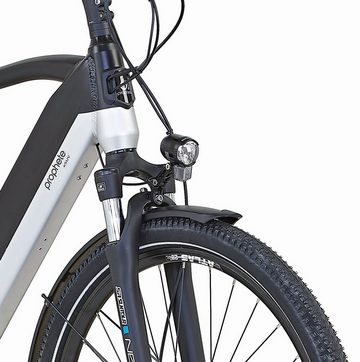 Prophete E-Bike Entdecker InsideTwo, 10 Gang Shimano Deore Schaltwerk, Kettenschaltung, Mittelmotor, 630 Wh Akku, Pedelec, Elektrofahrrad für Damen u. Herren, Trekkingrad