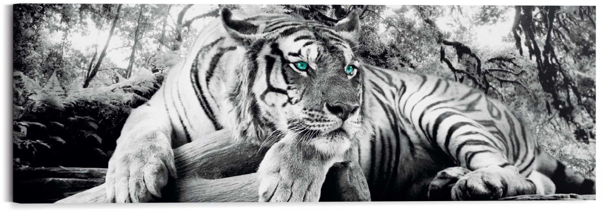 Wandbild Tigerblick Wandbild Tiger - Raubtier - Wandbild Wohnzimmer - Wandbild