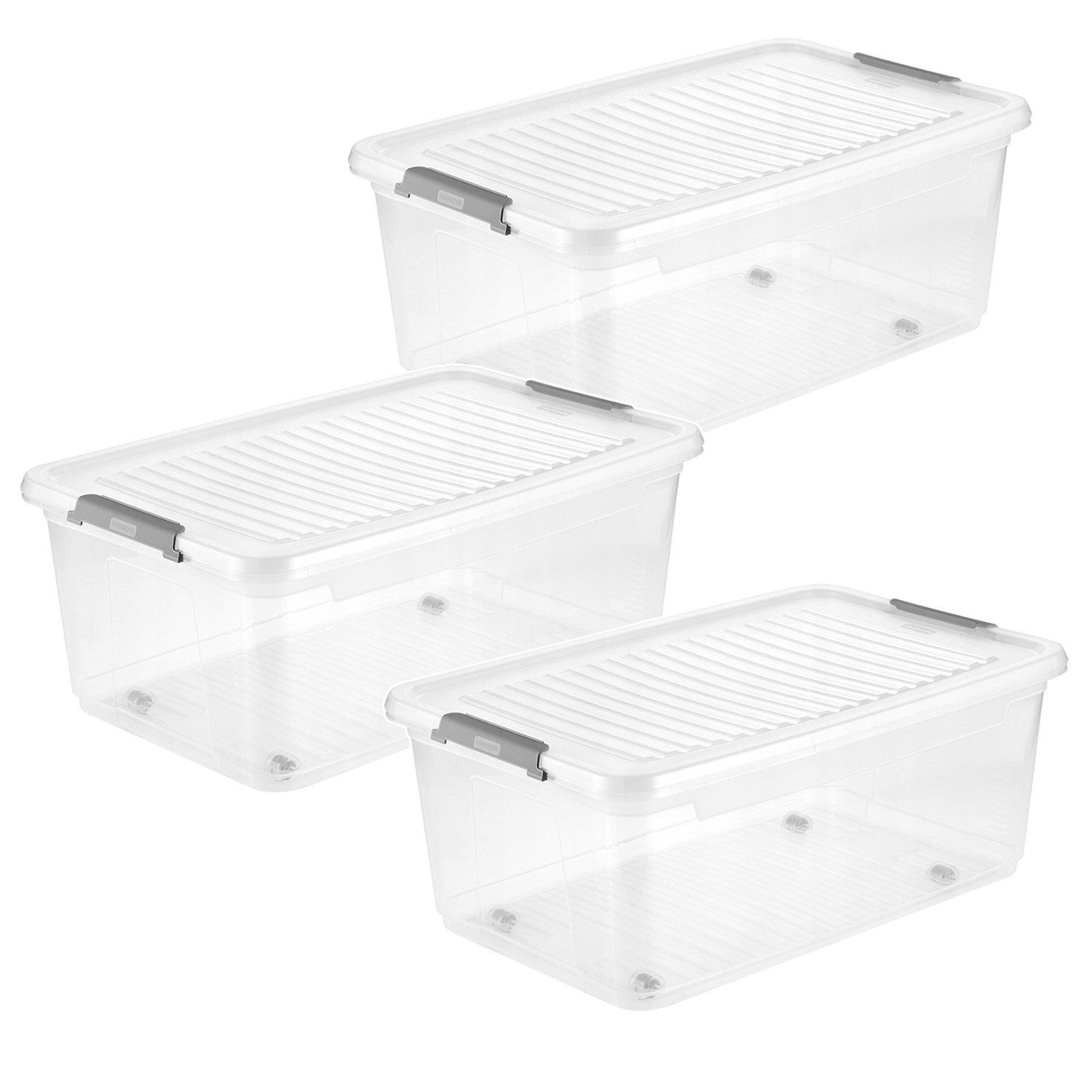 keeeper Aufbewahrungsbox mit Deckel und Rollen Leo 37 l (3 St), mit robusten Verschlussklammern