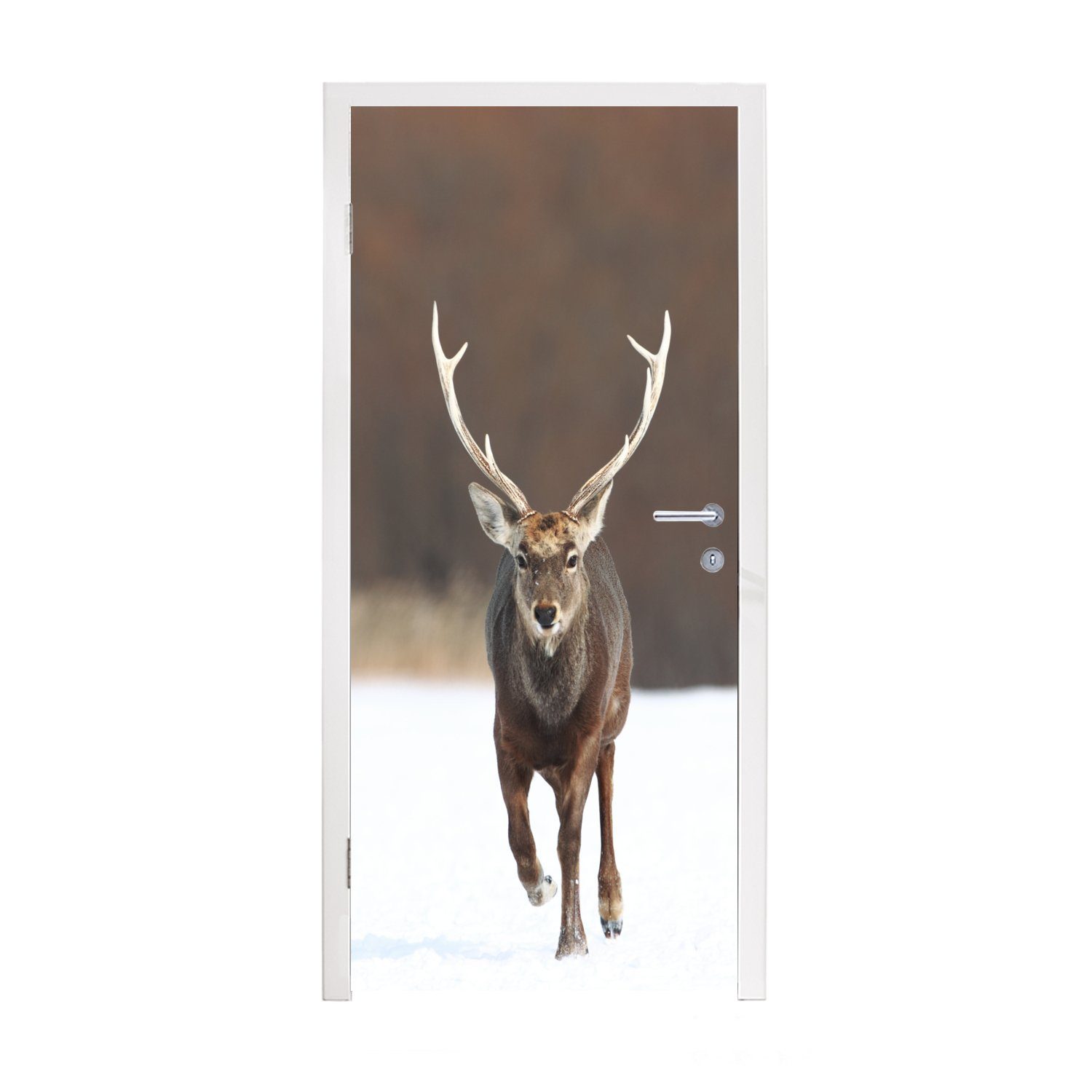 MuchoWow Türtapete Rotwild - Schnee - Lauf, Matt, bedruckt, (1 St), Fototapete für Tür, Türaufkleber, 75x205 cm