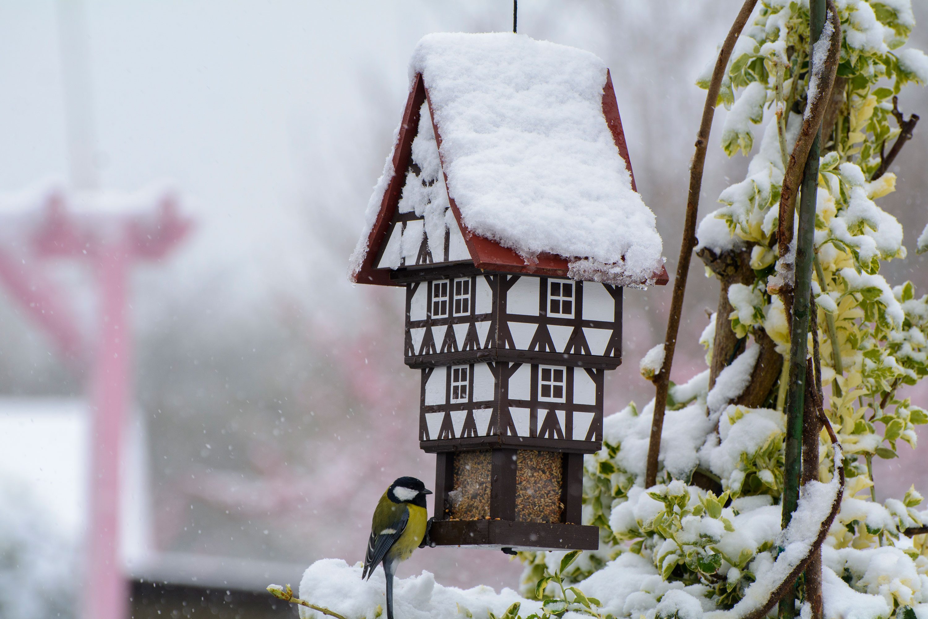 dobar Vogelhaus Vogelfutterhaus zum Aufhängen Vogelhaus Futterstation