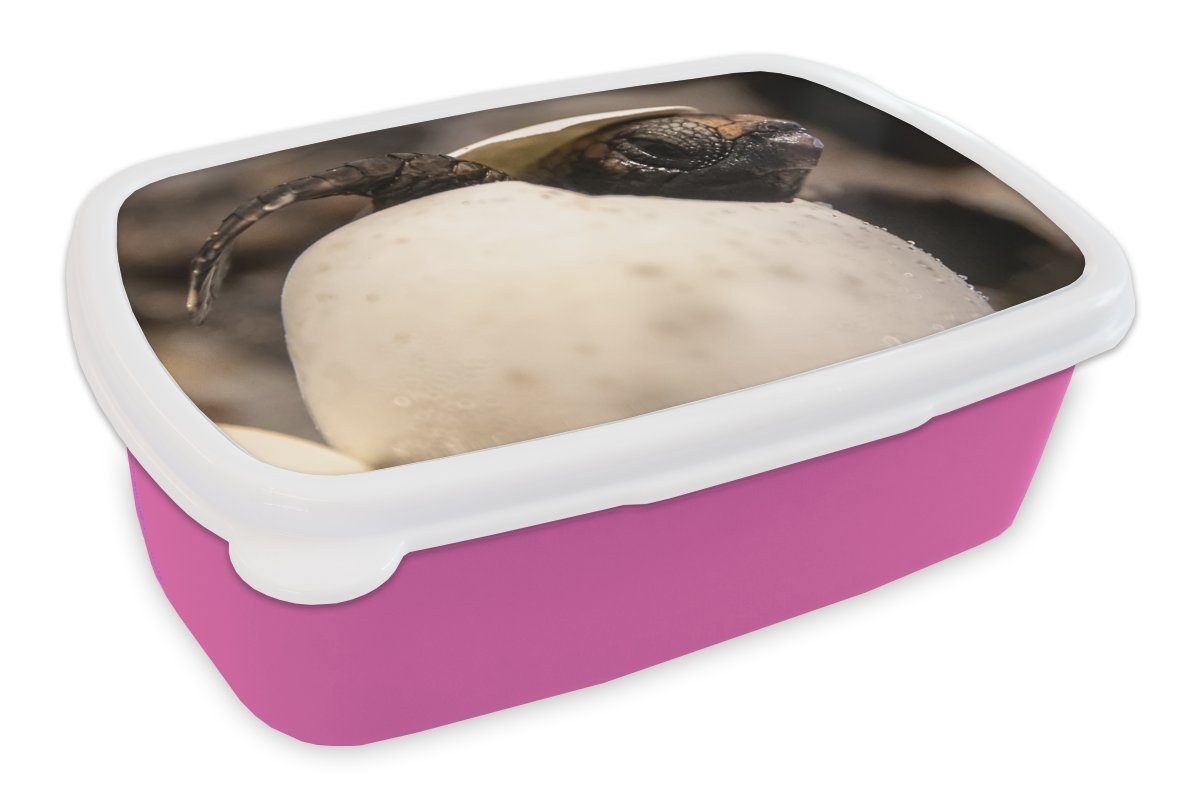 MuchoWow Lunchbox Schildkröte - Baby - Ei, Kunststoff, (2-tlg), Brotbox für Erwachsene, Brotdose Kinder, Snackbox, Mädchen, Kunststoff rosa