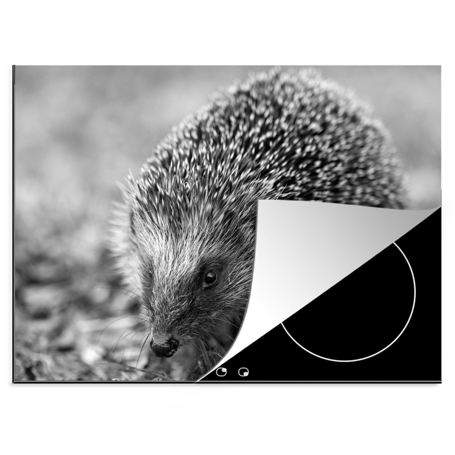 MuchoWow Herdblende-/Abdeckplatte Igel im Gras - schwarz und weiß, Vinyl, (1 tlg), 70x52 cm, Mobile Arbeitsfläche nutzbar, Ceranfeldabdeckung