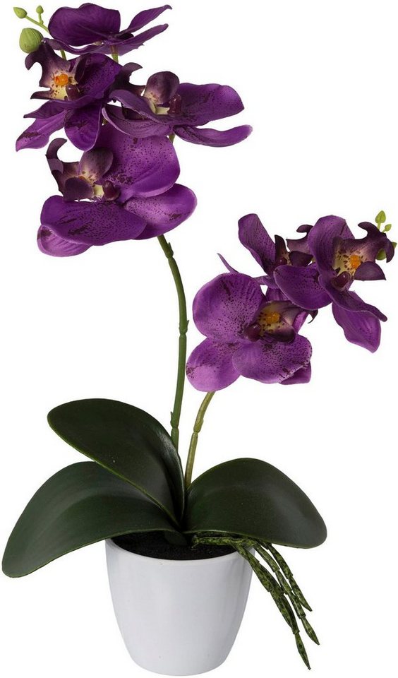 Kunstorchidee Phalaenopsis, Creativ green, Höhe 36 cm, 2er Set, im  Kunststofftopf