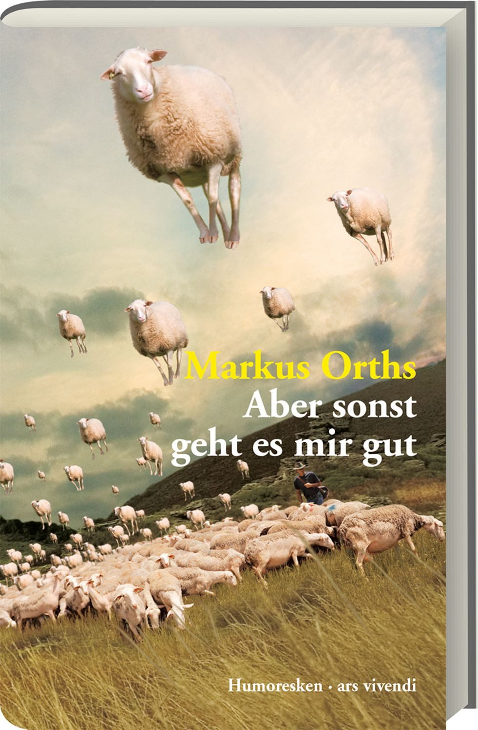 Aber sonst geht es mir gut / Markus Orths