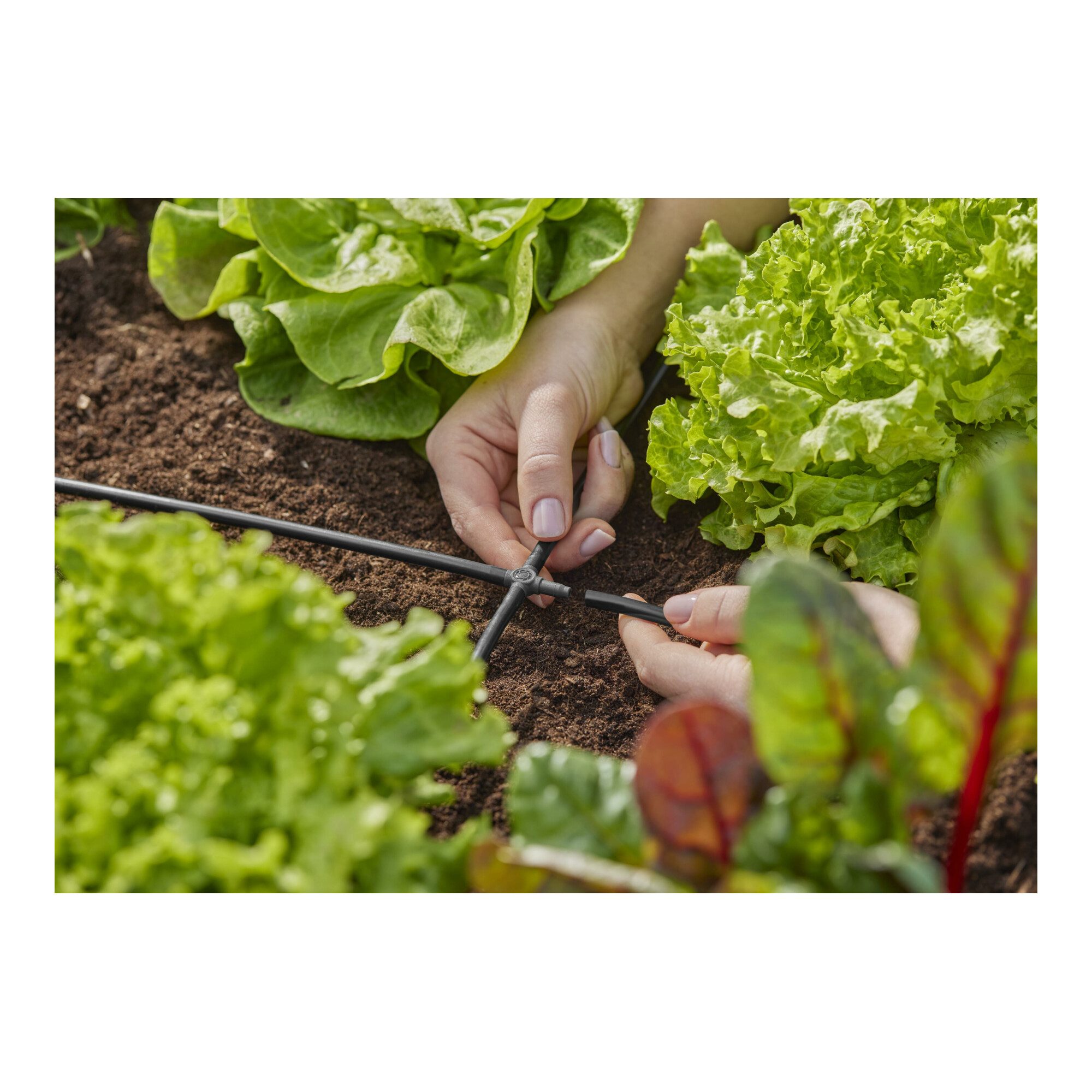 GARDENA Bewässerungssystem Gardena Micro-Drip-System Kreuzstück 4,6 mm (3/16) 10 Stk