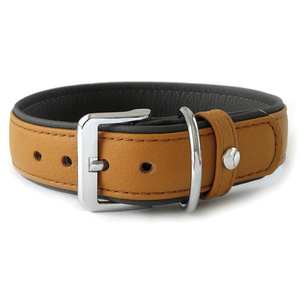 Das Lederband Hunde-Halsband Hundehalsband Amsterdam caramel/lava