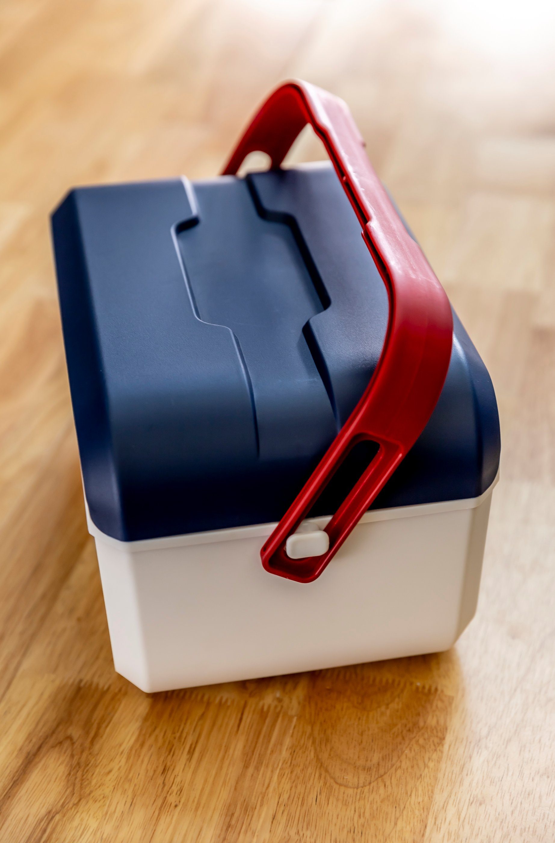 ONDIS24 Lunchbox Kühlbox Brotbüchse Picknickbox 5 Liter, Kunststoff