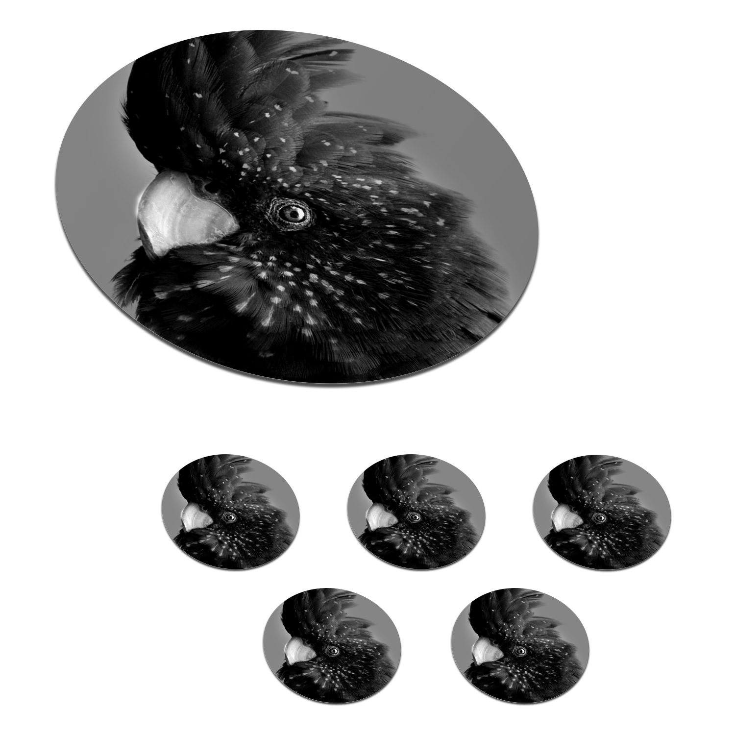 MuchoWow Glasuntersetzer Nahaufnahme eines Kakadus vor grünem Hintergrund - schwarz und weiß, Zubehör für Gläser, 6-tlg., Getränkeuntersetzer, Tassenuntersetzer, Korkuntersetzer, Tasse, Becher