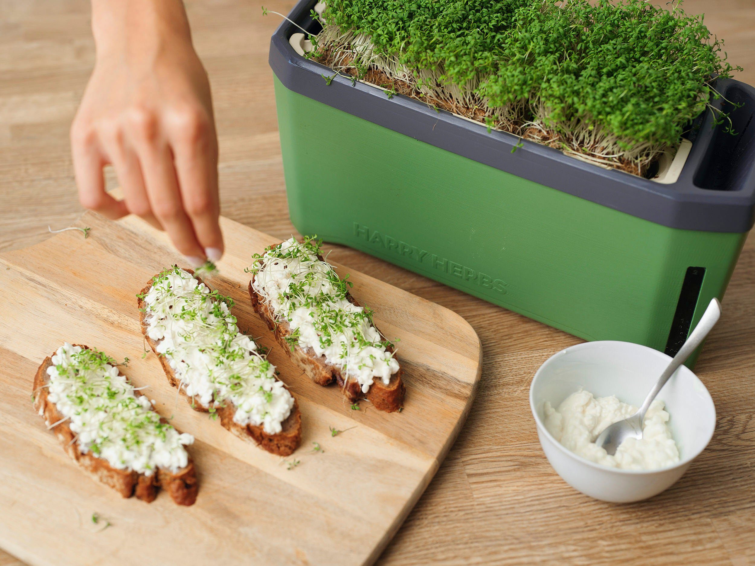 Kräutertopf, 4 1 Anzuchttopf dunkelgrün & HERBS mit Wasserreservoir Gusta HARRY Garden in Anzuchthaube