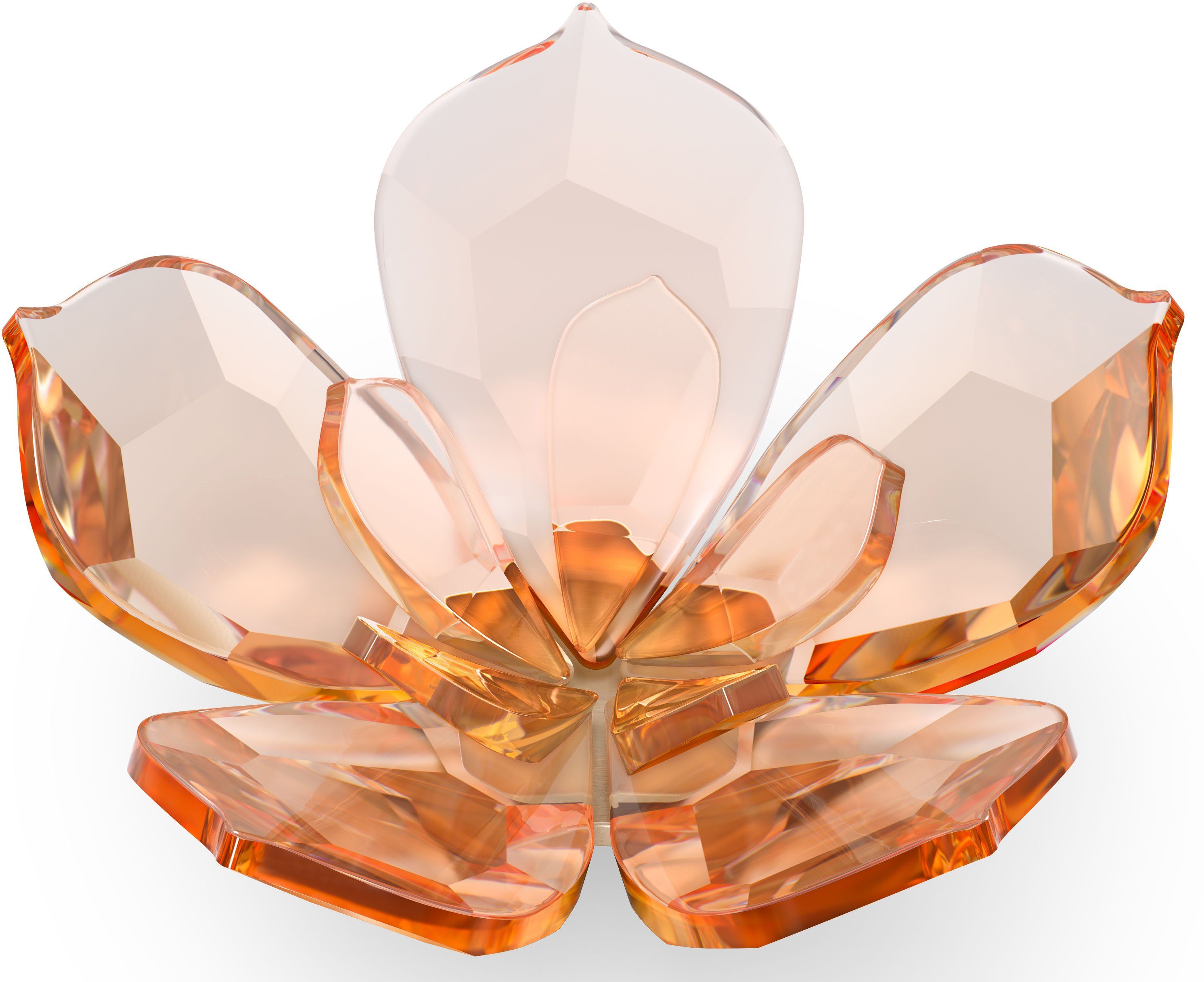 Swarovski Dekoobjekt »Garden Tales Magnolie Magnet, groß, 5580028« (1 Stück), Swarovski® Kristall-Otto