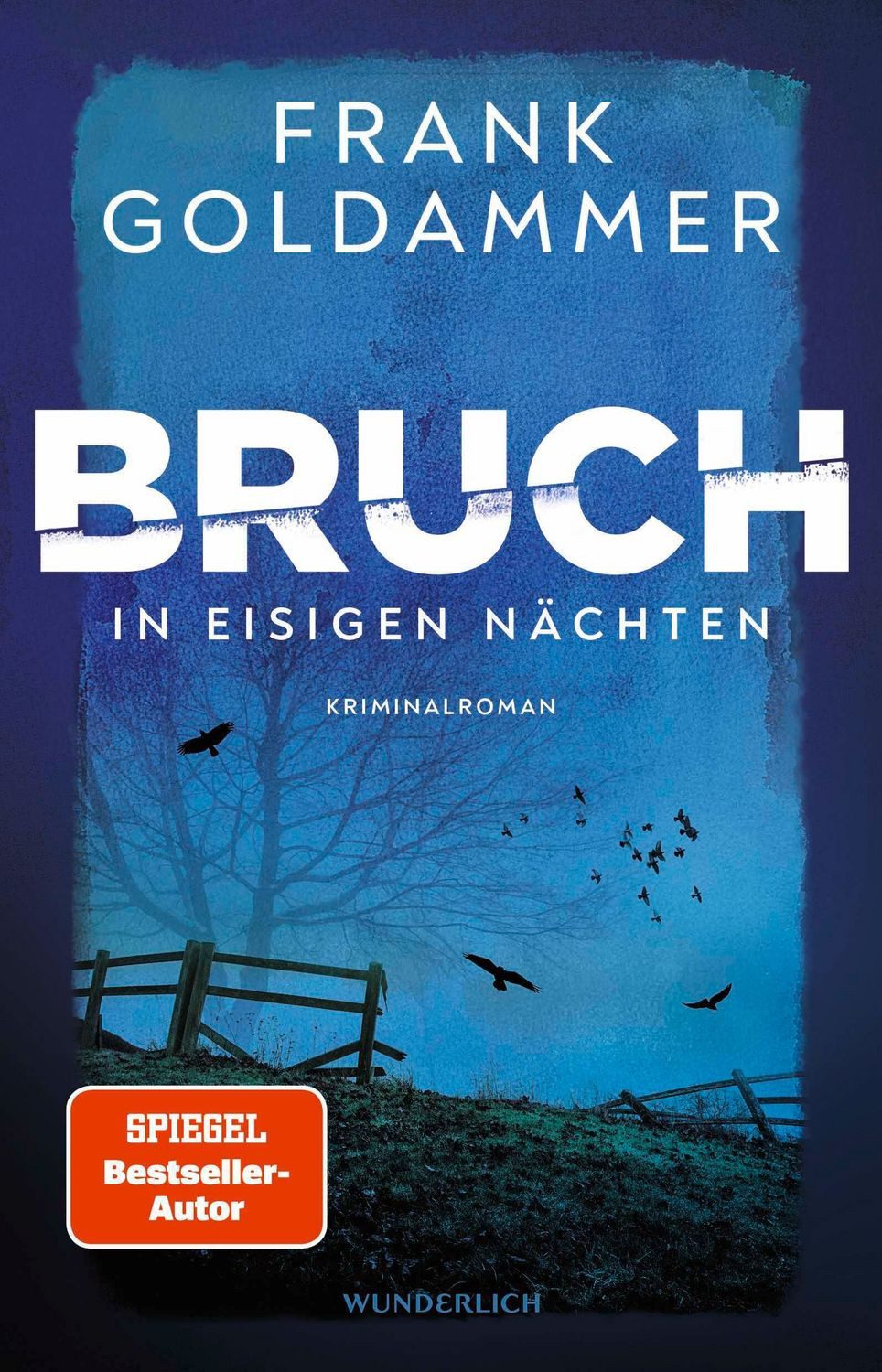 Bruch: In eisigen Nächten / Frank Goldammer