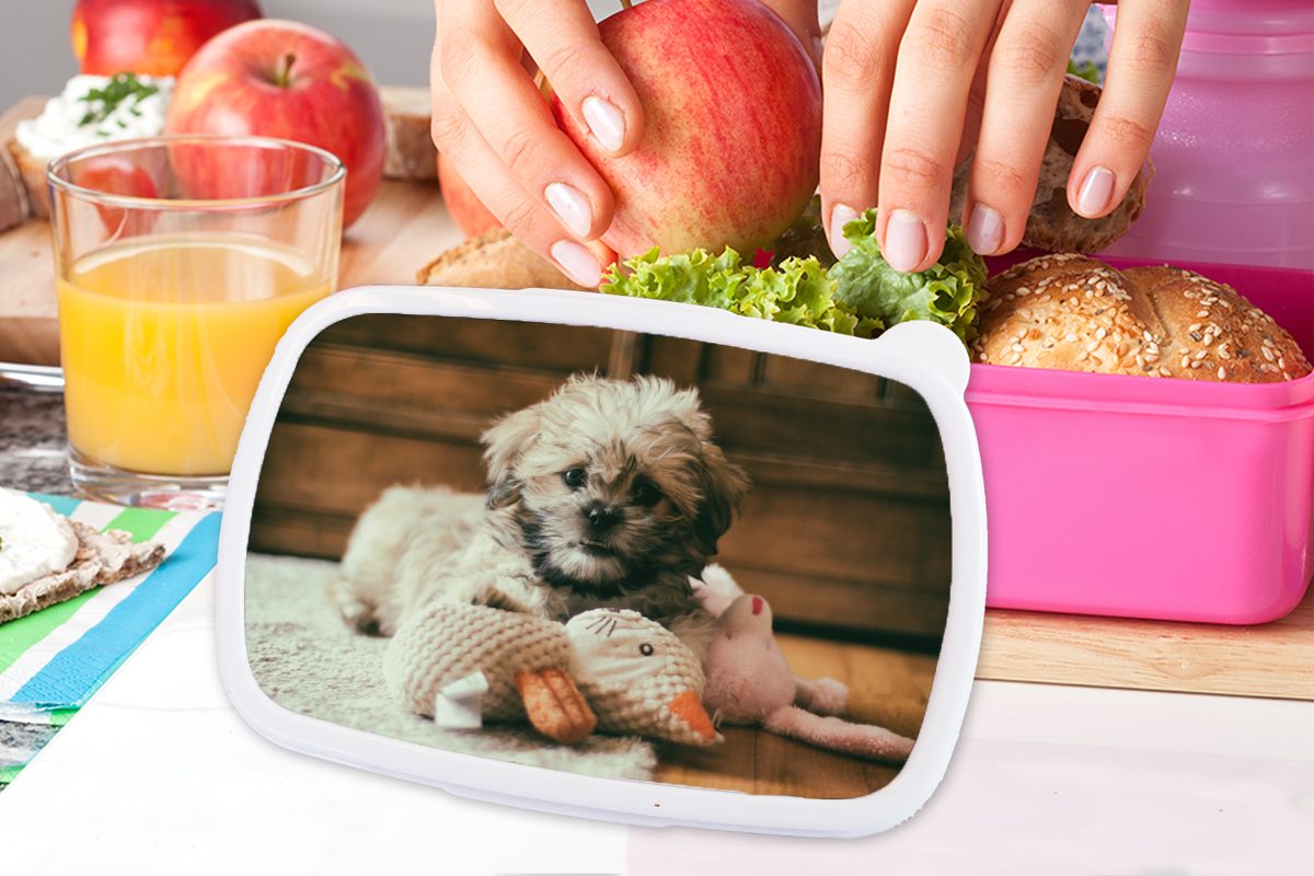 Ein Shih dem Kunststoff, Snackbox, Kunststoff Erwachsene, (2-tlg), Kinder, für Lunchbox Brotbox Brotdose kuschelt, der Tzu-Hund, rosa auf Mädchen, Boden MuchoWow
