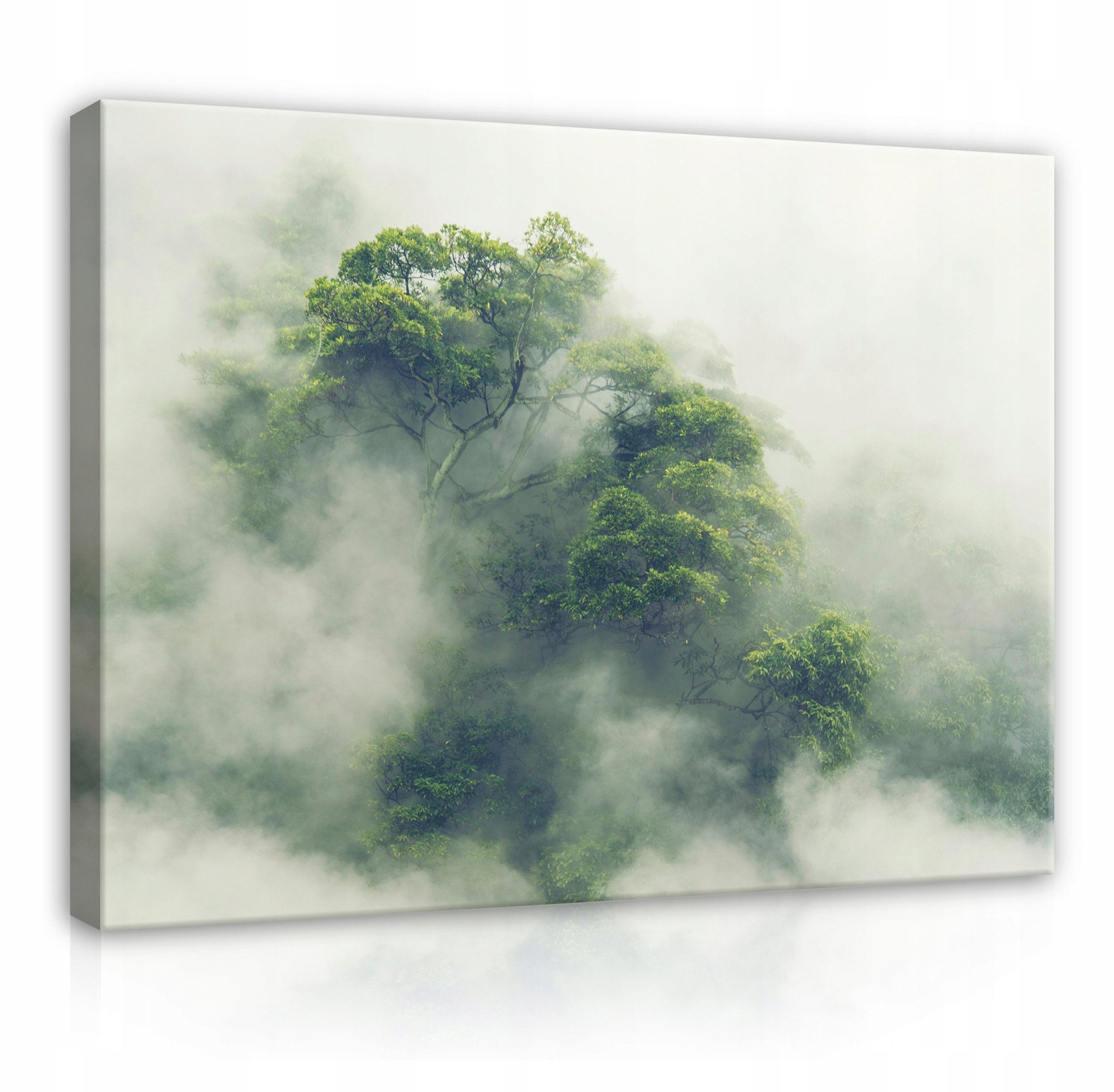 Wallarena Leinwandbild Wald Sonne Natur Grün günstig online kaufen