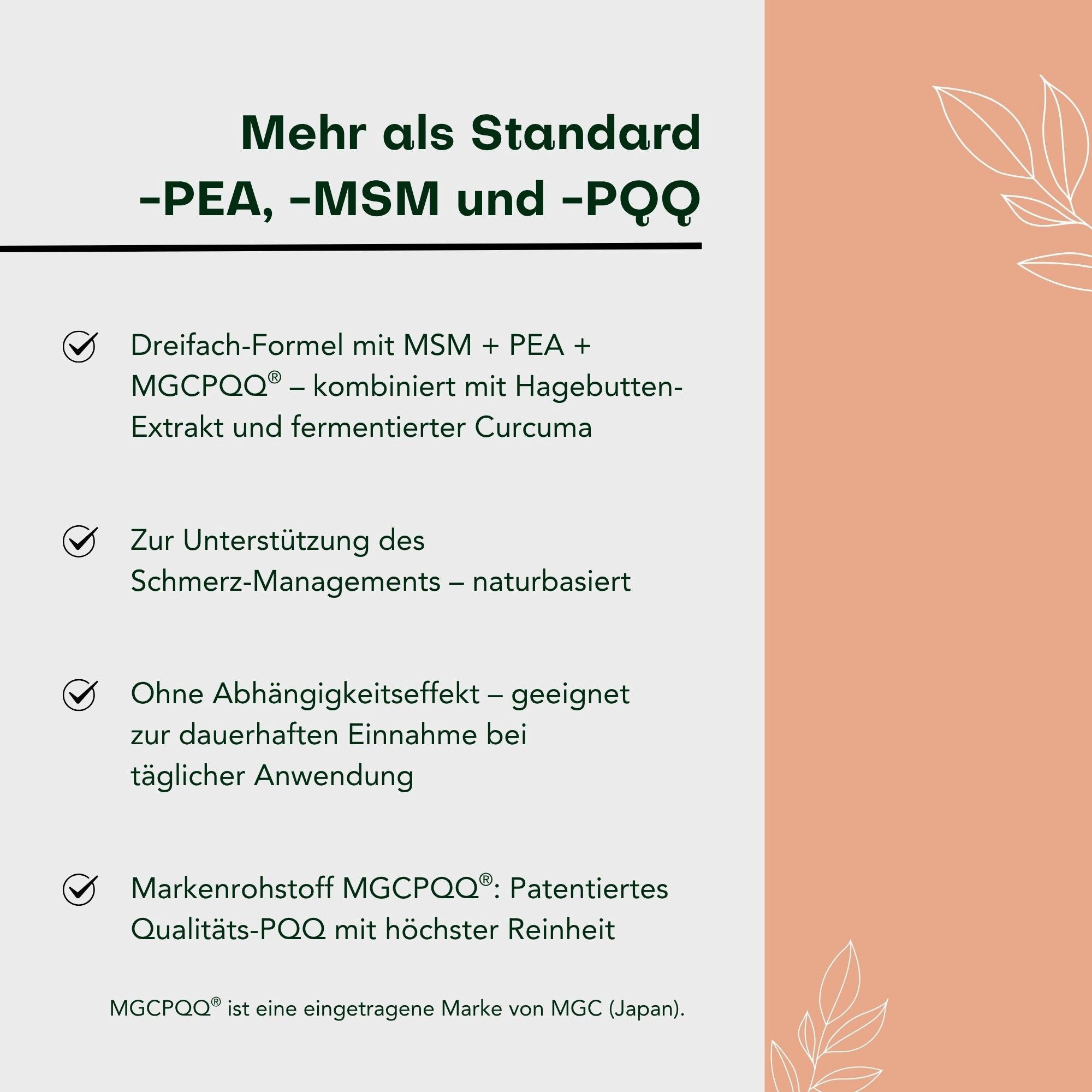 Aura Natura Fermentura Doloferm mit PEA (400 mg jeTagesdosis), MSM und Curcuma Kapseln, Packung à 60 St., PEA Kapseln mit PQQ & MSM