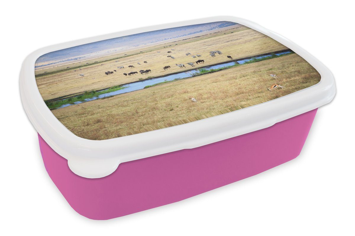 MuchoWow Lunchbox Tiere - Safari - Wild, Kunststoff, (2-tlg), Brotbox für Erwachsene, Brotdose Kinder, Snackbox, Mädchen, Kunststoff rosa