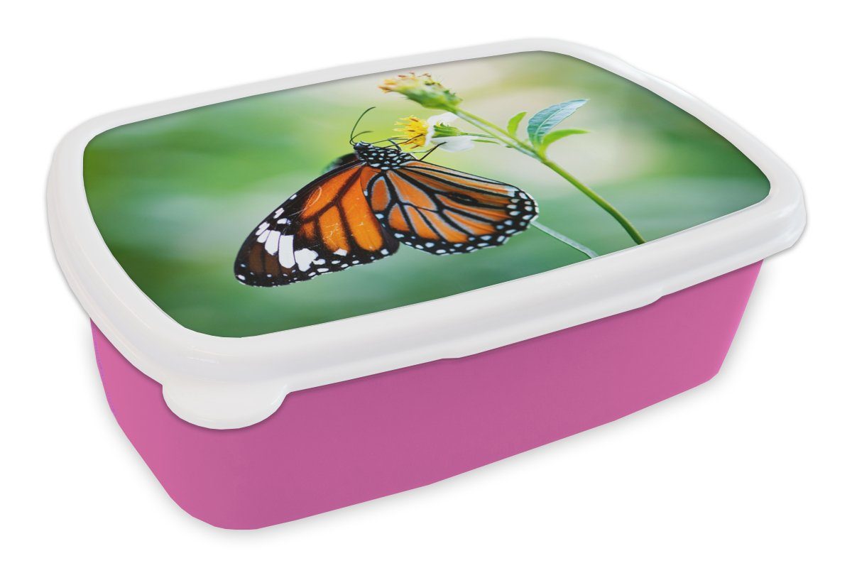 MuchoWow Lunchbox Schmetterling - Blumen - Insekten, Kunststoff, (2-tlg), Brotbox für Erwachsene, Brotdose Kinder, Snackbox, Mädchen, Kunststoff rosa
