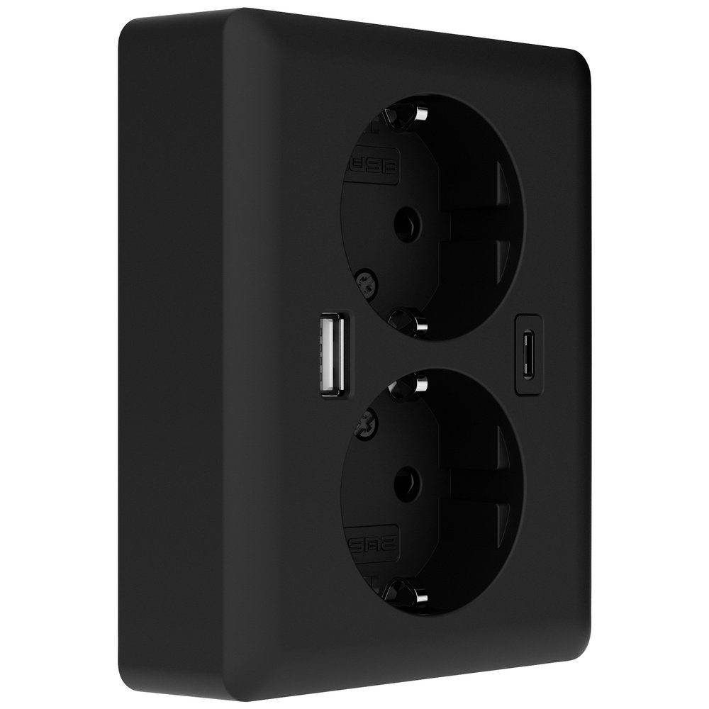2USB Steckdose 2USB 2U-449719 Unterputz-Dose mit USB-C®, mit USB-Ladeausgang Schwa