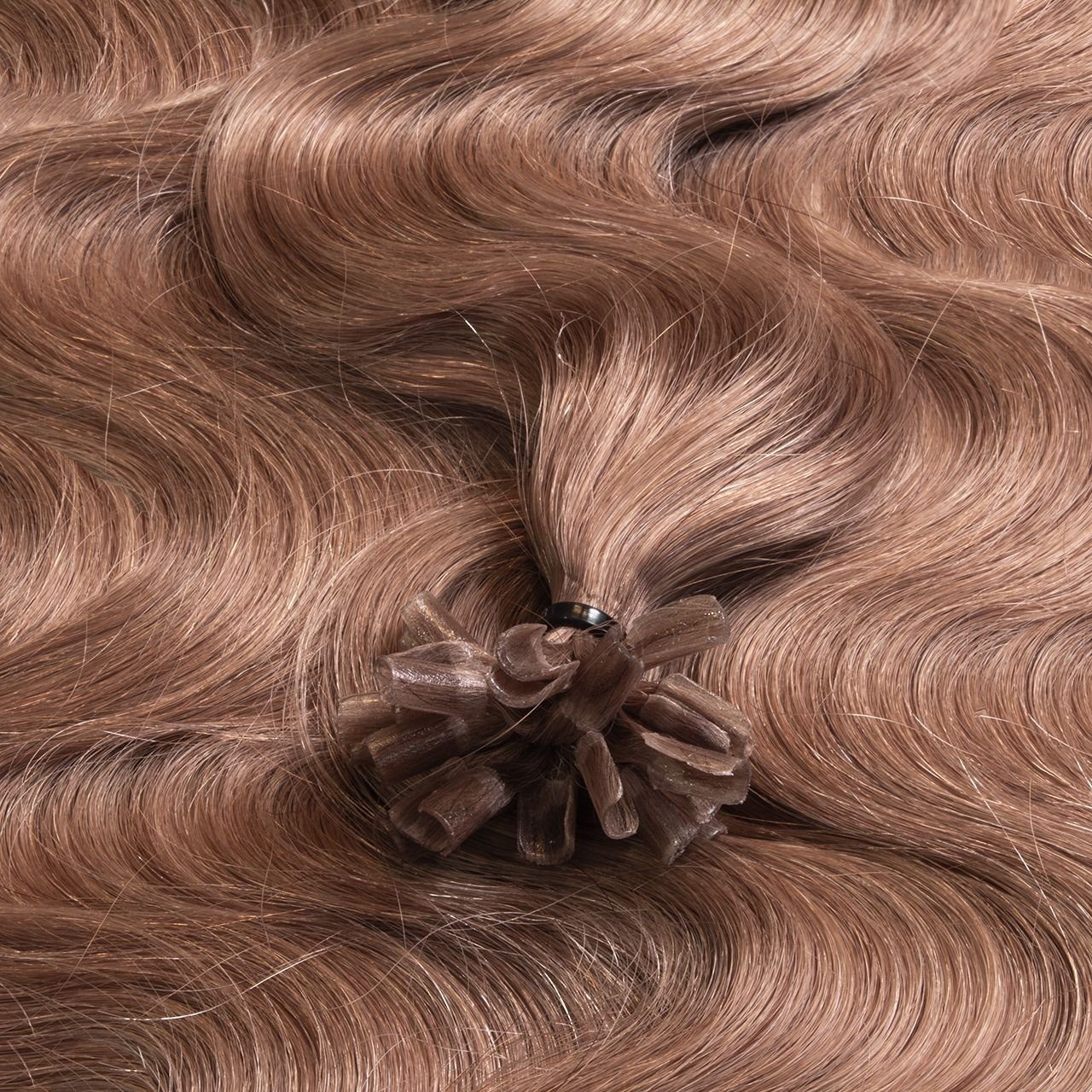 Hell-Lichtblond Bondings Gold-Asch gewellt #10/31 Premium 40cm hair2heart Echthaar-Extension