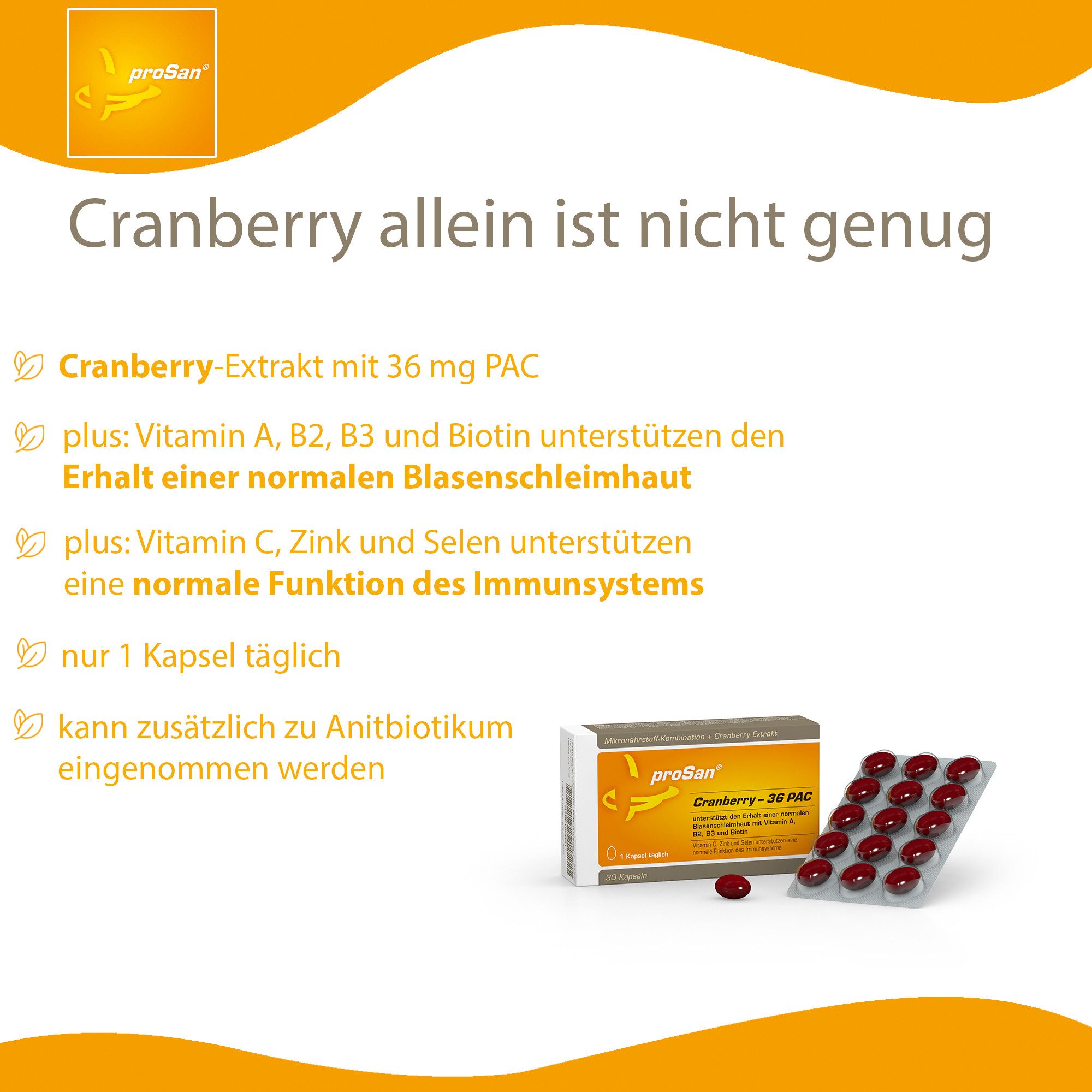 proSan Cranberry-36 PAC, 3x Stark, Für Blasenschleimhaut & Immunsystem, Kapseln, 30 St., 25 g
