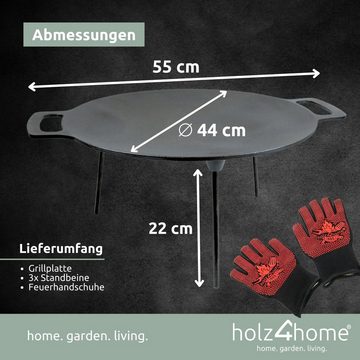 holz4home Grillplatte Gusseisen Rund ⌀44 I 3-beinig schraubbar (inkl. Handschuhe), Gusseisen