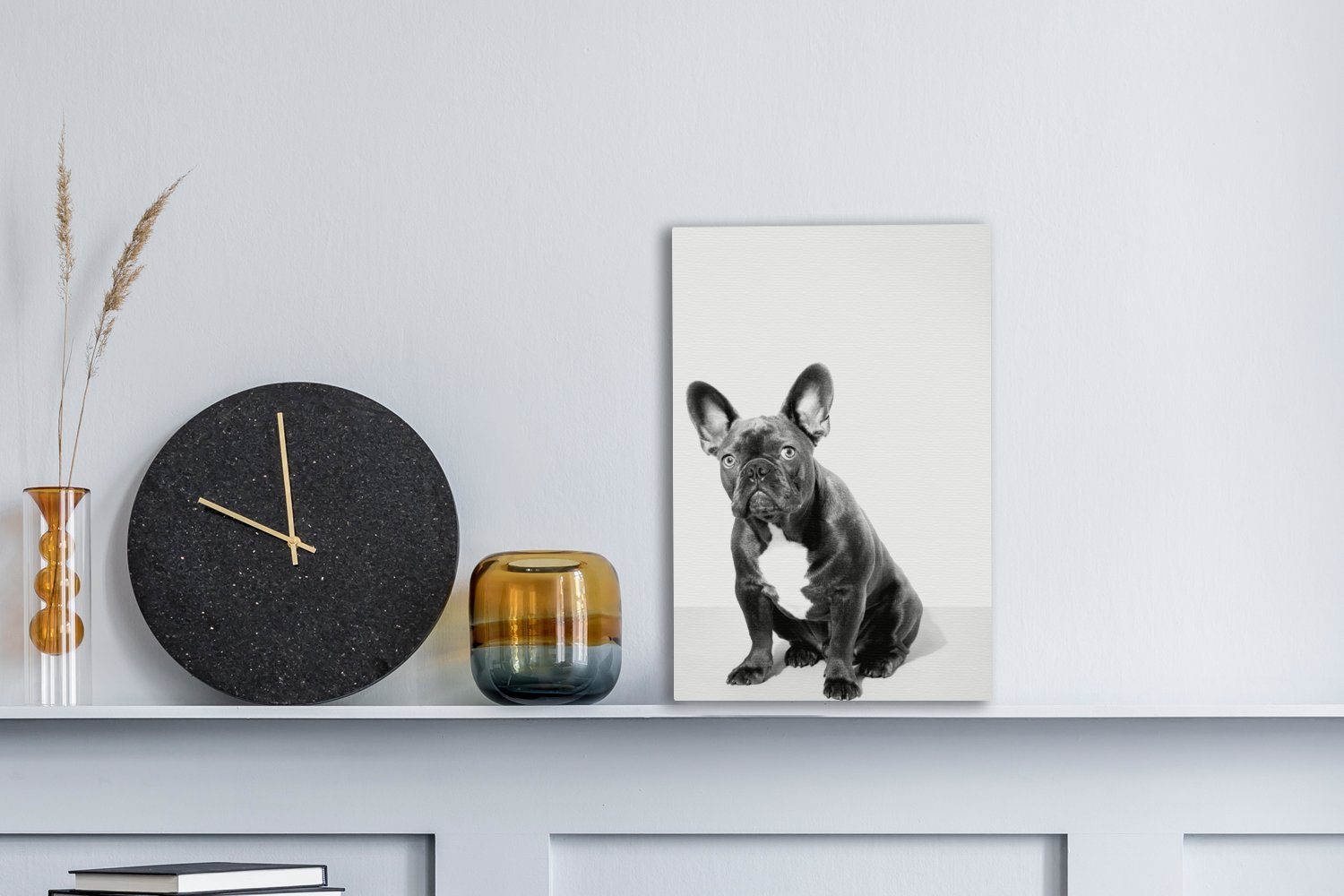 OneMillionCanvasses® Leinwandbild Bulldogge cm (1 20x30 St), einer Studio-Porträt bespannt inkl. Leinwandbild Gemälde, Zackenaufhänger, französischen und schwarz fertig - weiß