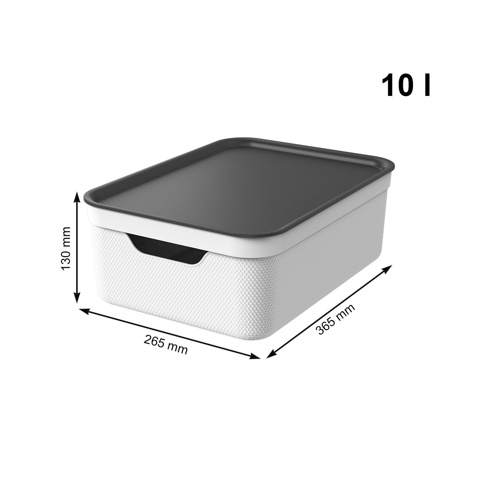 ROTHO Aufbewahrungsbox 3er Set Aufbewahrungsbox mit Deckel 10L JIVE – Bild 3 von 3