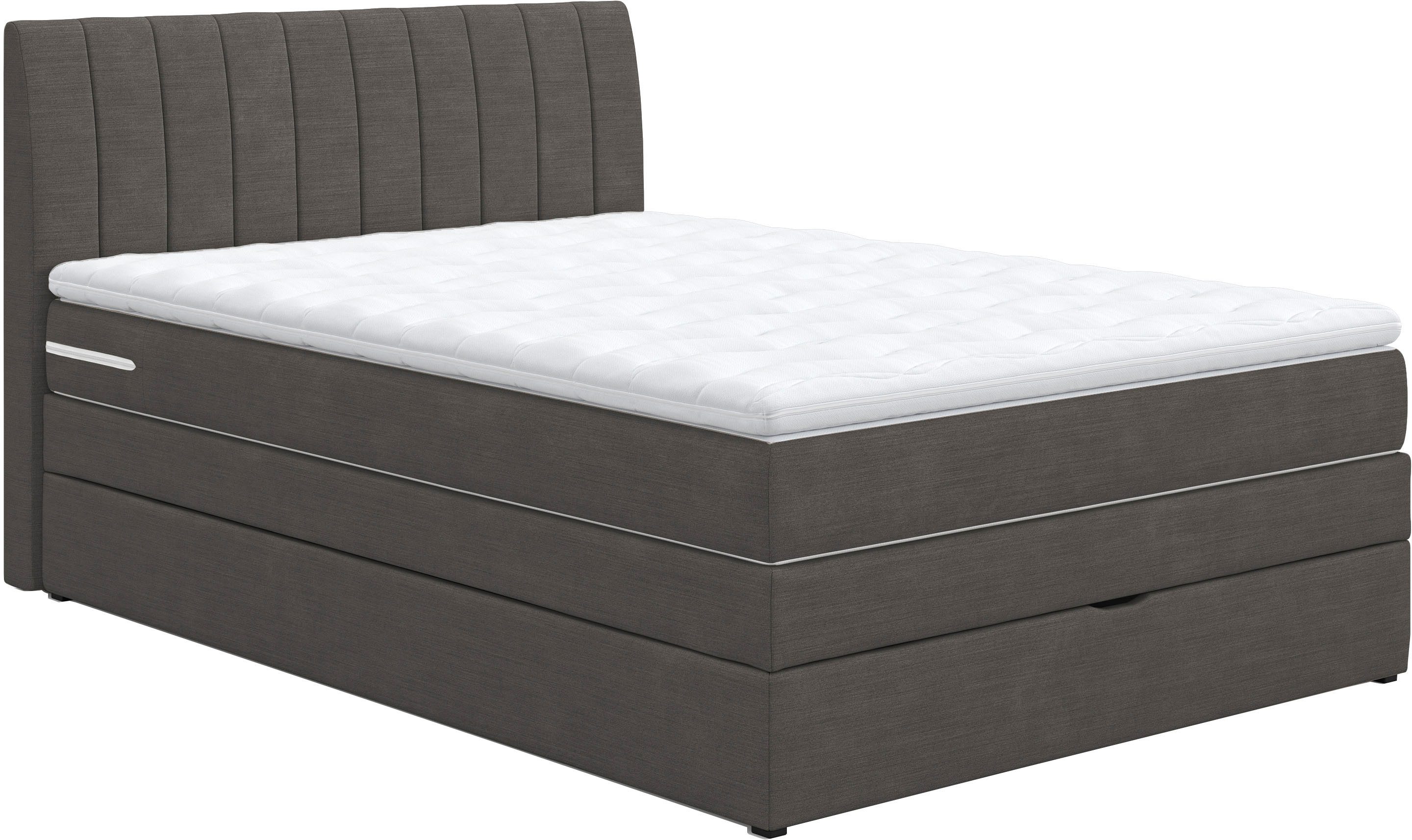 COTTA Boxspringbett Shark inkl. Bettkasten und Topper, erhältlich in den Breiten 140x200cm, 160x200cm und 180x200cm