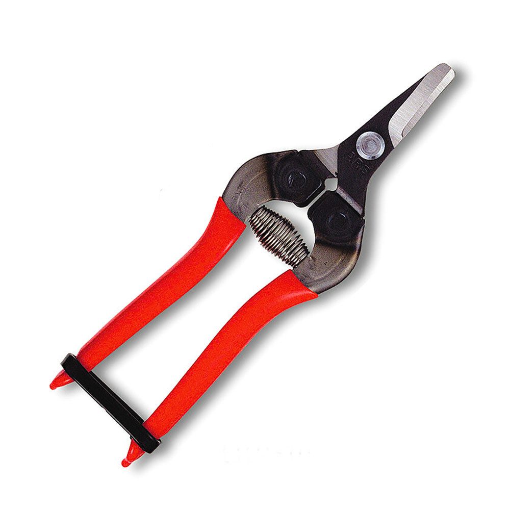 ARS by Tiger Astschere 310 Obst-, Trauben-, Gemüseschere ergonomische Floristenschere, (ergonomischer Griff), Hochwertige Materialien