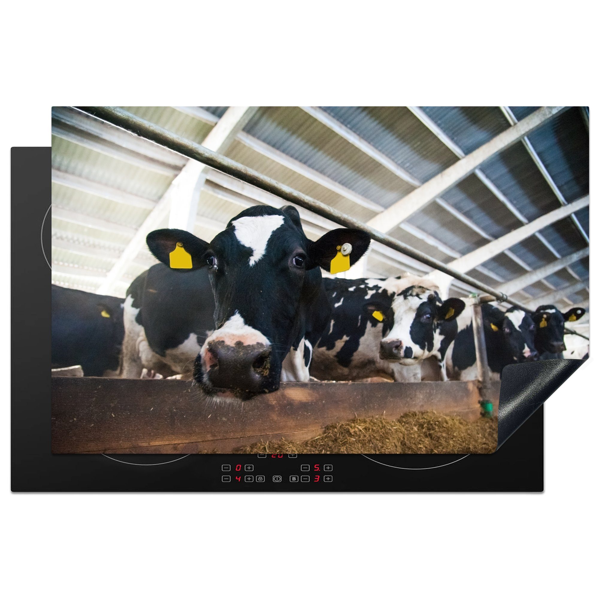 MuchoWow Herdblende-/Abdeckplatte Kuh - Bauernhof - Stall, Vinyl, (1 tlg), 81x52 cm, Induktionskochfeld Schutz für die küche, Ceranfeldabdeckung