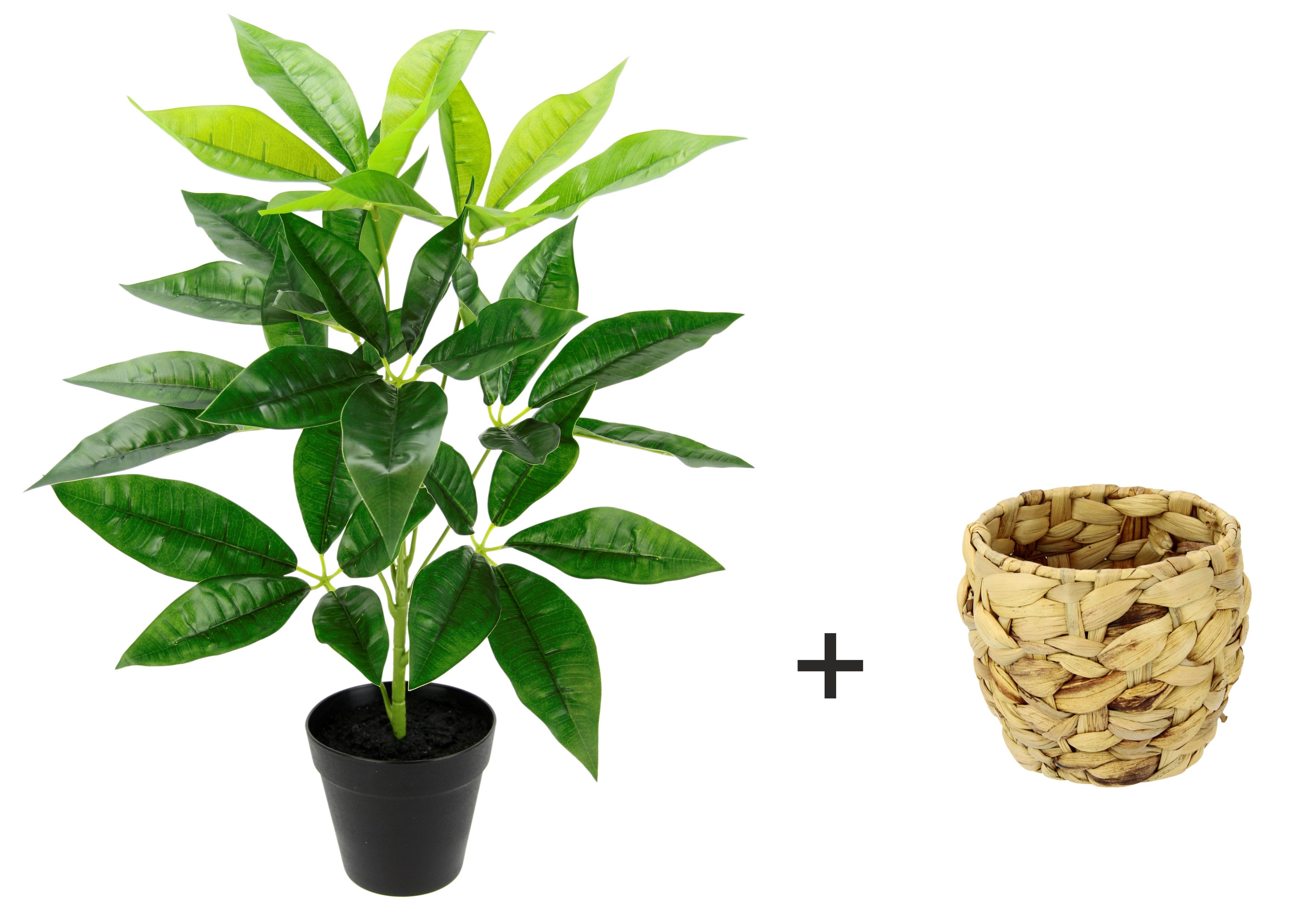 Kunstpflanze Schefflera, I.GE.A., Höhe 48 cm, Mit Übertopf Künstliche Seide günstig online kaufen