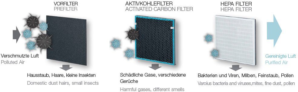 BEURER Kombifilter LR200/210, Zubehör für Beurer günstig online kaufen