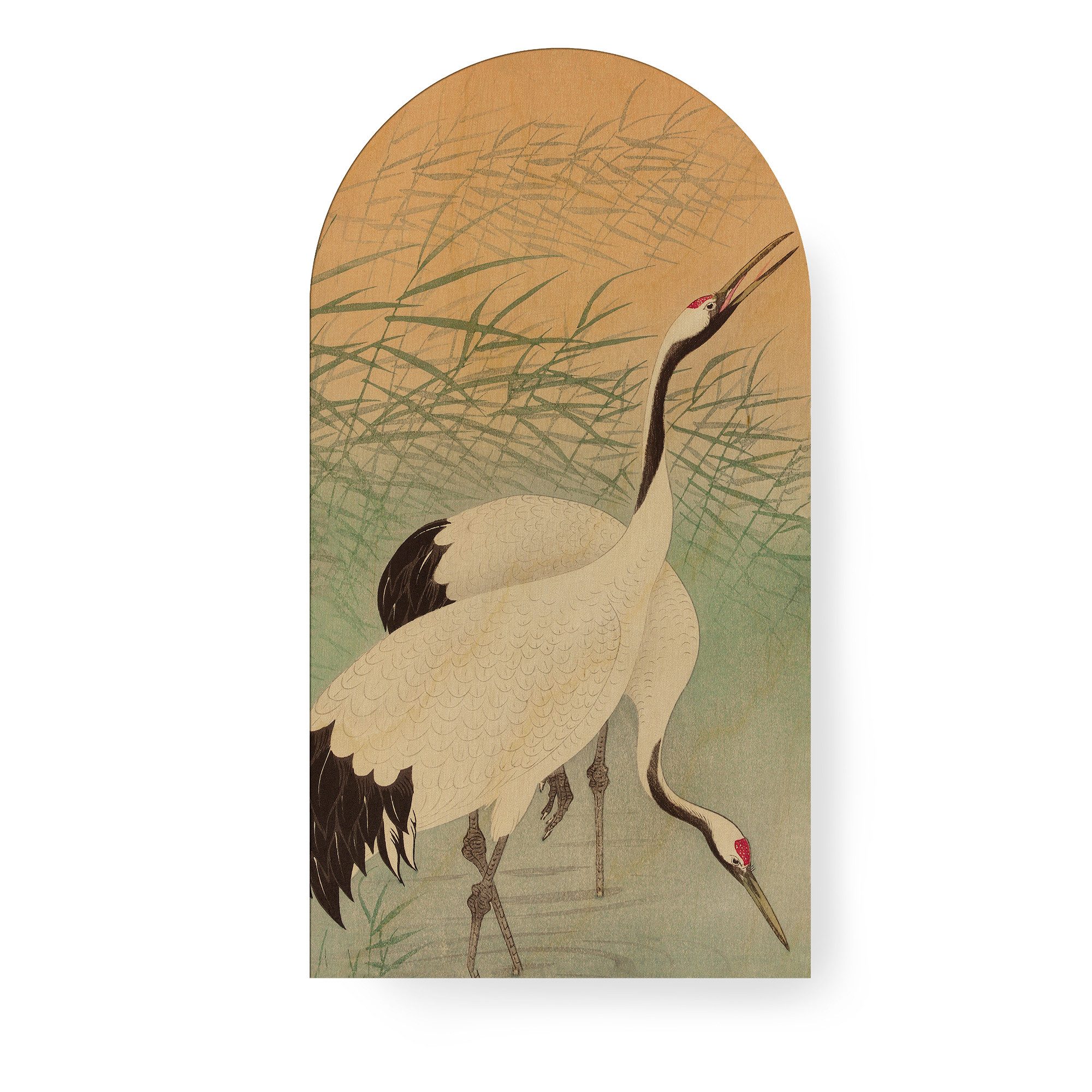 Art for the home Leinwandbild Kranich, Tiere (1 St), Bild in organischer Bogenform – Bild 2 von 5