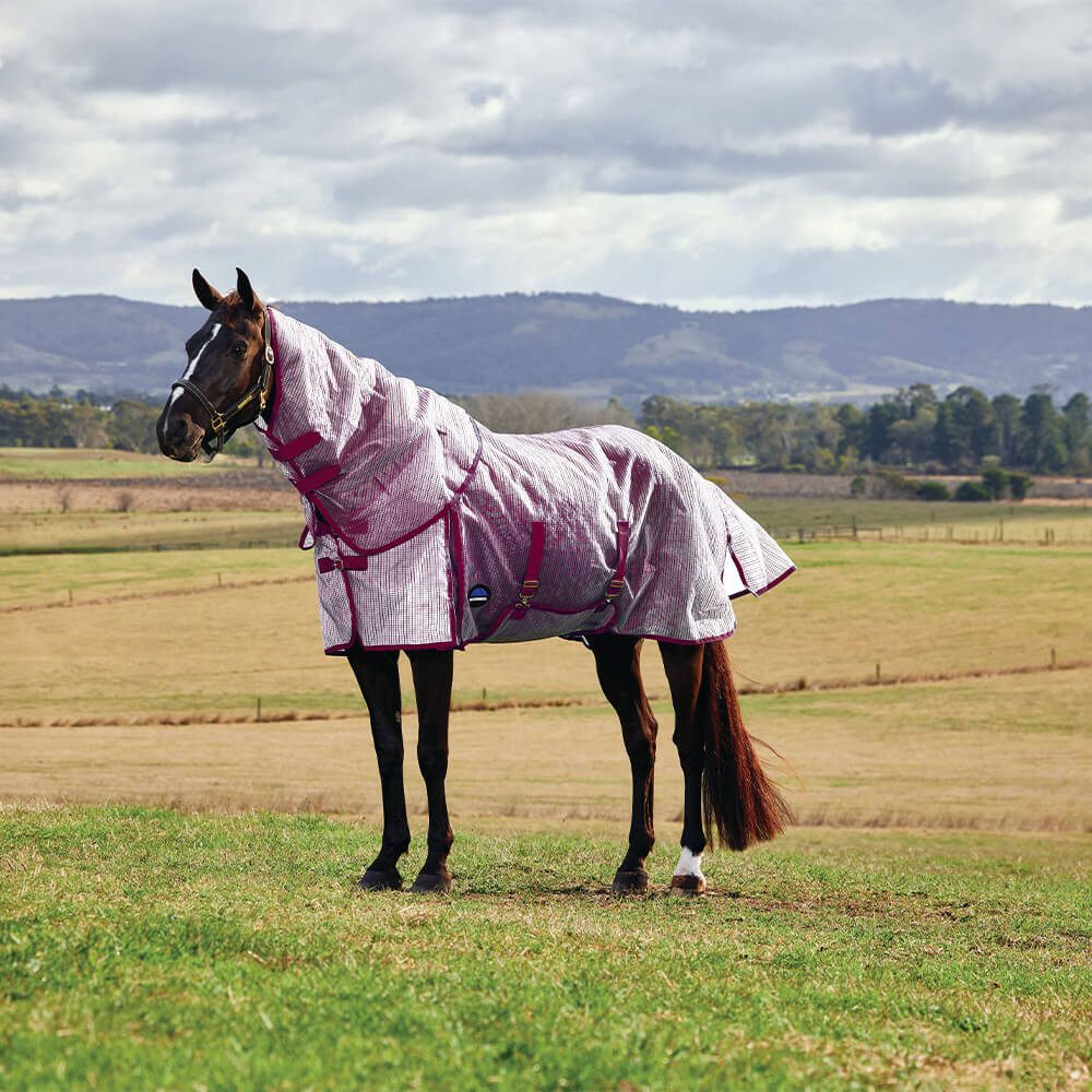 Pferde-Fliegendecke Weatherbeeta Comfitec Ripshield Fly Sheet Detach-A-Neck