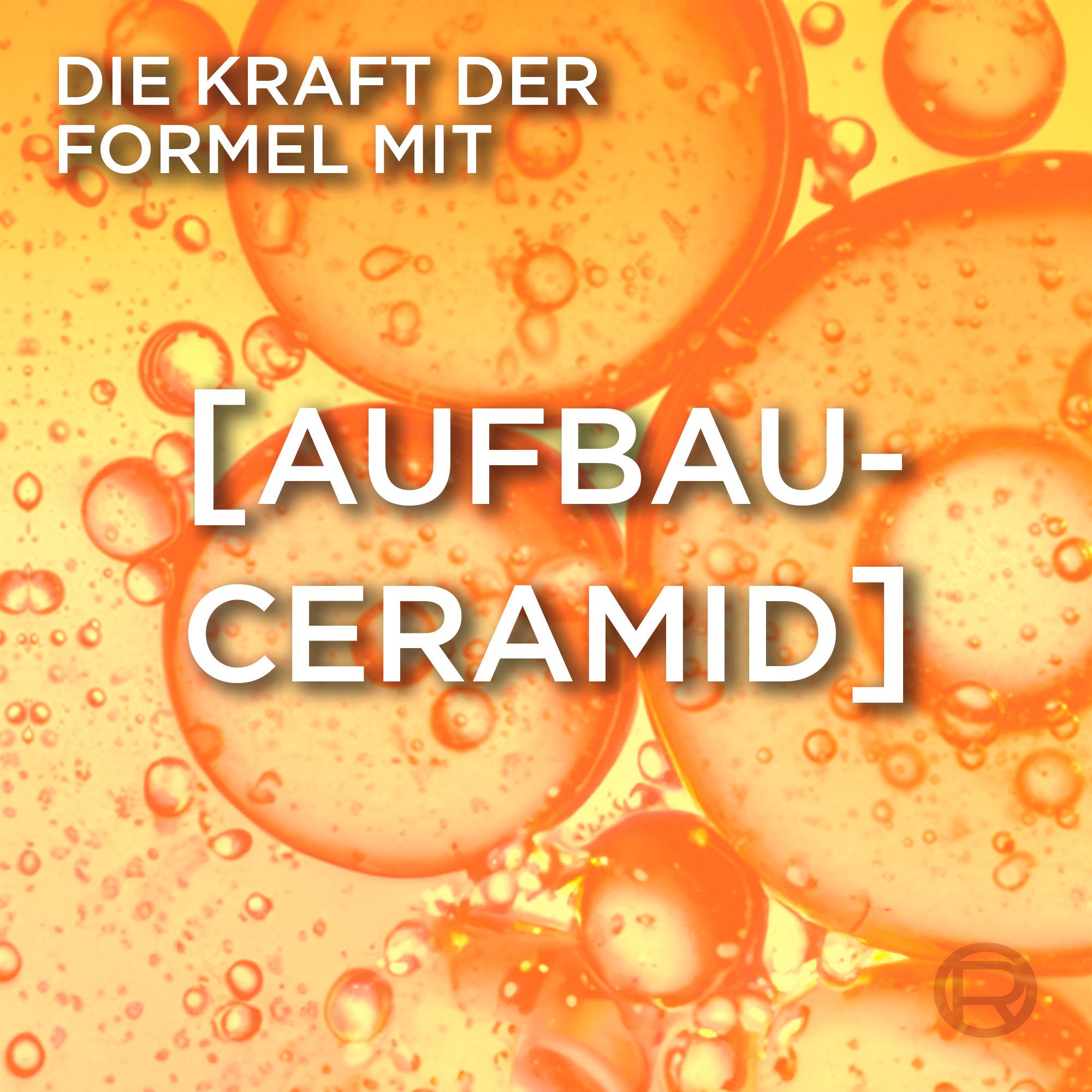 L'ORÉAL PARIS Haarshampoo L'Oréal Paris Elvital Anti-Haarbruch Shampoo, Packung, 6-tlg., Für jeden Haartyp, stärkt das Haar, glättet Haaroberfläche für Glanz.