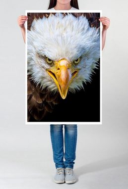 Sinus Art Poster Tierfotografie  Amerikanischer Seeadler im Porträt 60x90cm Poster