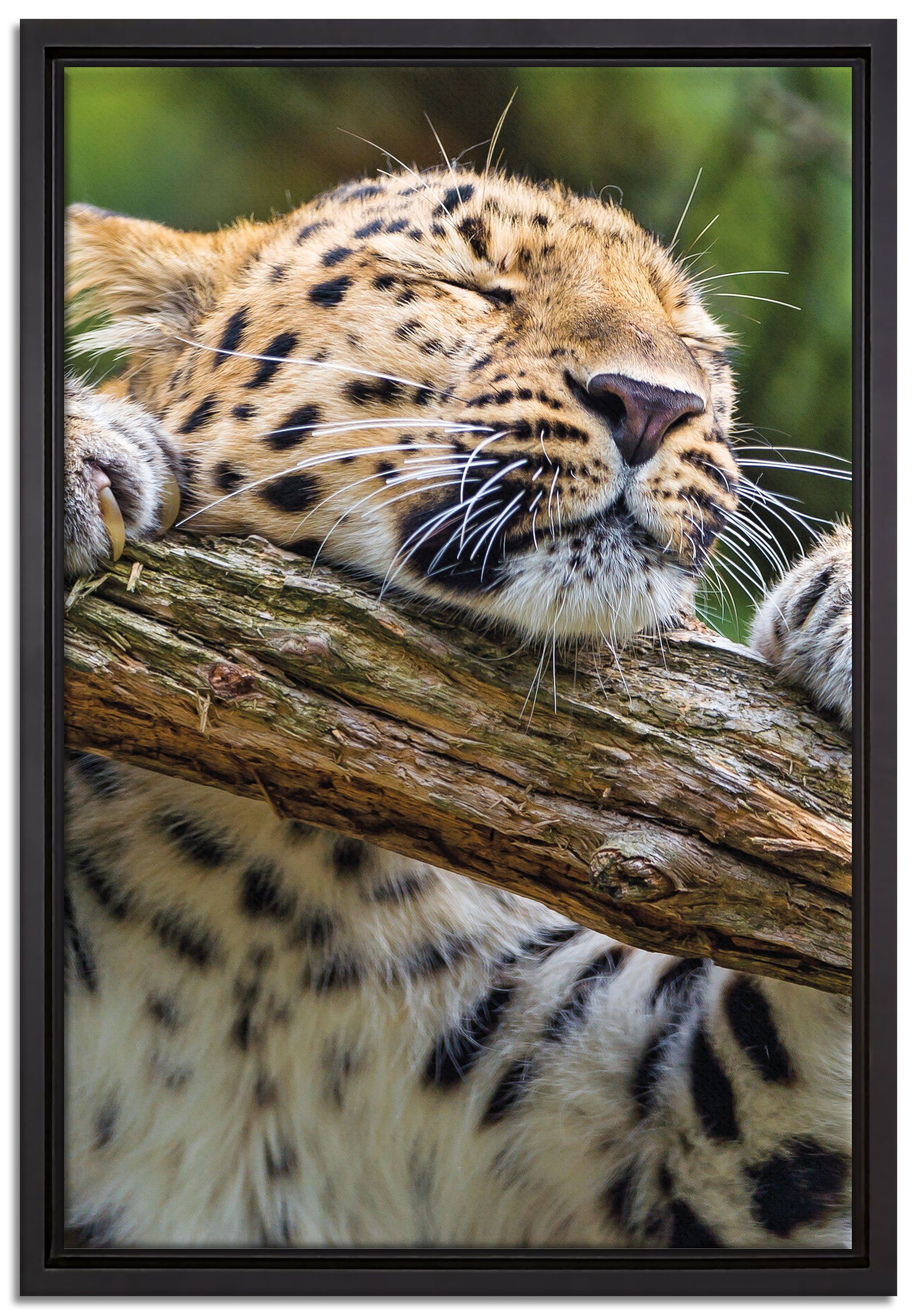 Pixxprint Leinwandbild verspielter Leopard, Wanddekoration (1 St), Leinwandbild fertig bespannt, in einem Schattenfugen-Bilderrahmen gefasst, inkl. Zackenaufhänger