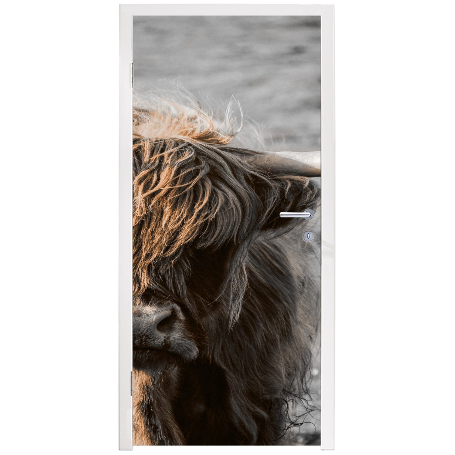 MuchoWow Türtapete Matt, Tür, 75x205 Fototapete - für Türaufkleber, St), Tier, bedruckt, cm (1 Natur Highlander - Schottische