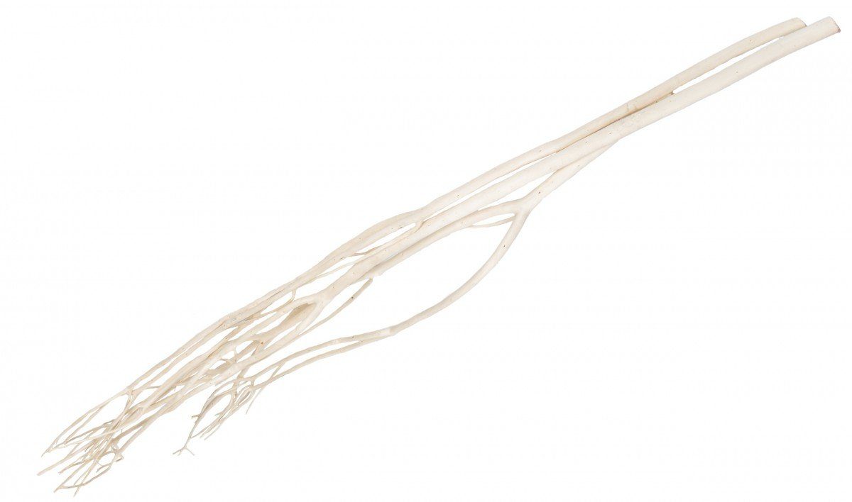 NaDeco Bastelnaturmaterial Mitsumata-Zweige, gebleicht, Länge ca. 120cm, im Bund mit 3 Stück