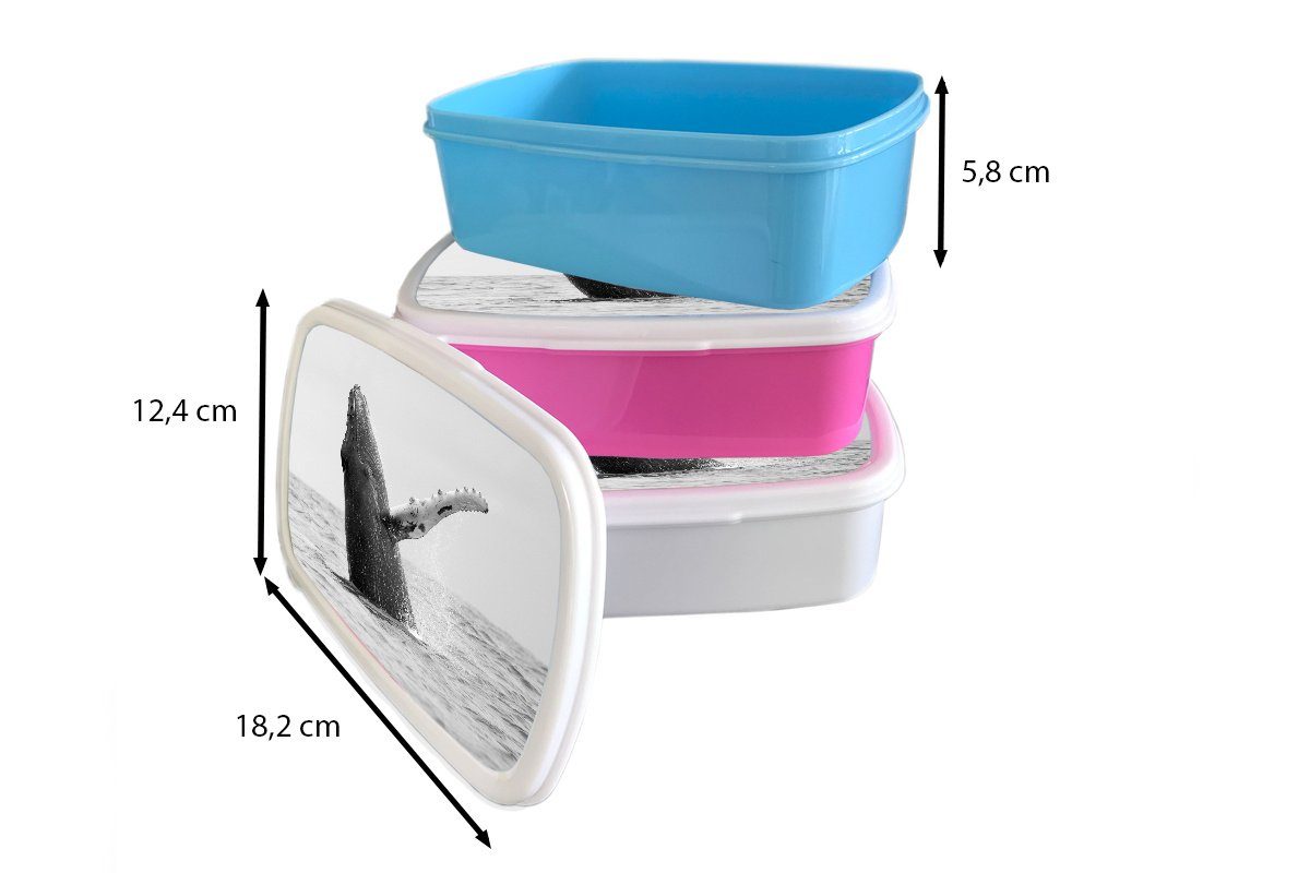 MuchoWow Lunchbox (2-tlg), in Kinder, Snackbox, Meer Kunststoff, Rica Costa für rosa Mädchen, Brotbox Erwachsene, schwarz-weiß, bei Buckelwal im Kunststoff Brotdose