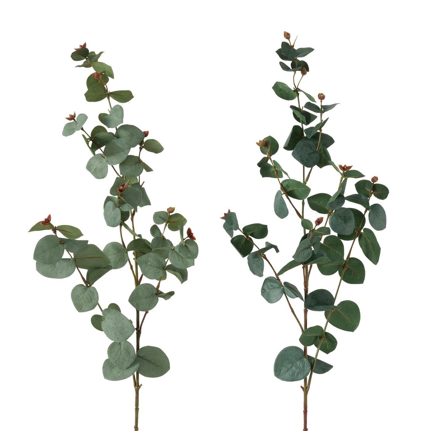 Kunstzweig Dekozweig, Eukalyptus, Grün, 2 sort., günstig online kaufen