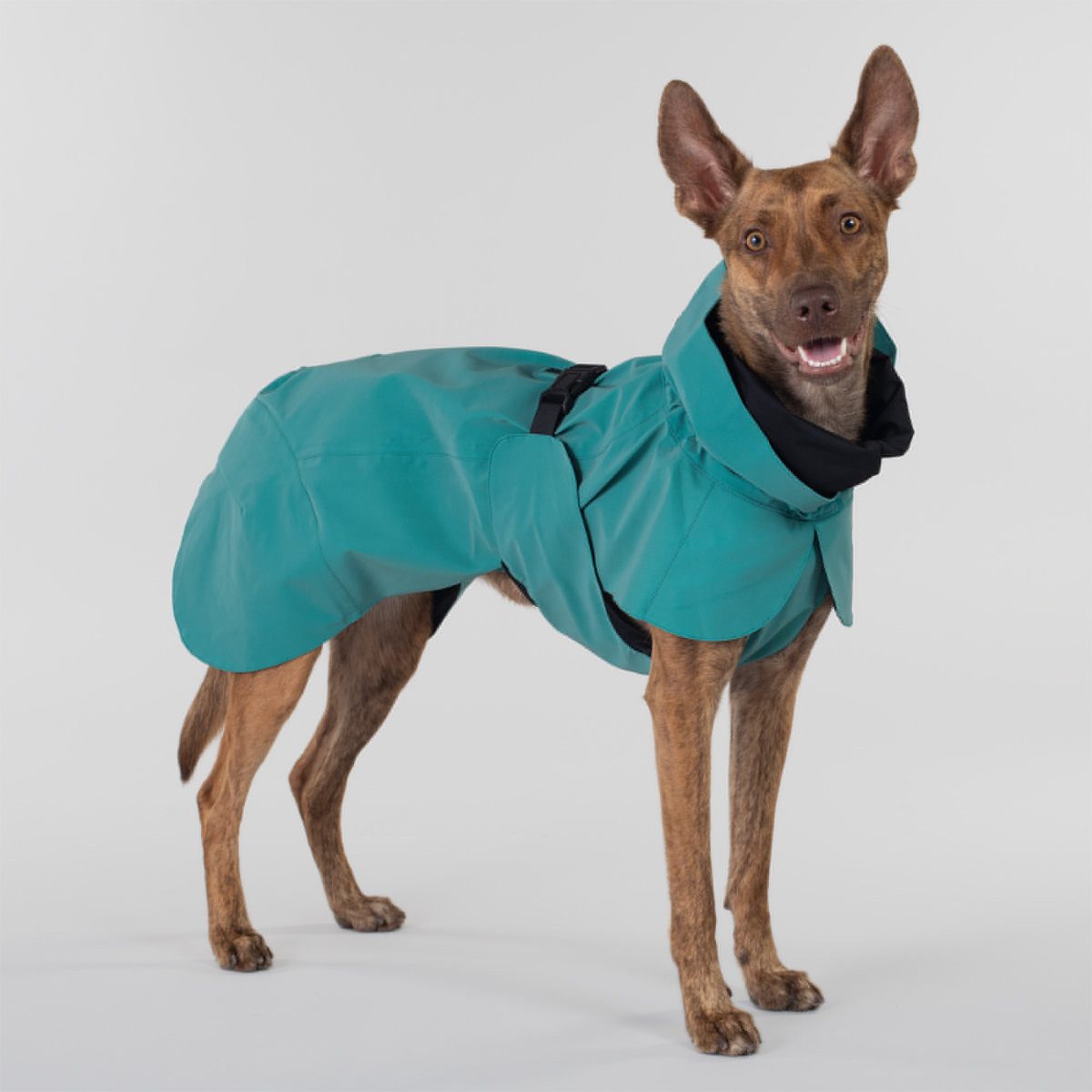 PAIKKA Hunderegenmantel Hunde Regenmantel reflektierend "Visibility Raincoat" Emerald