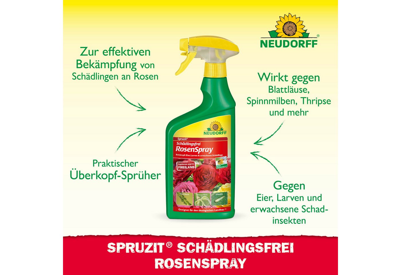 Thumbnail - Neudorff Insektenspray Spruzit AF Schädlingsfrei RosenSpray 750 ml, 0.75 l, Anwendungsfertiges Spray zur Bekämpfung von ...