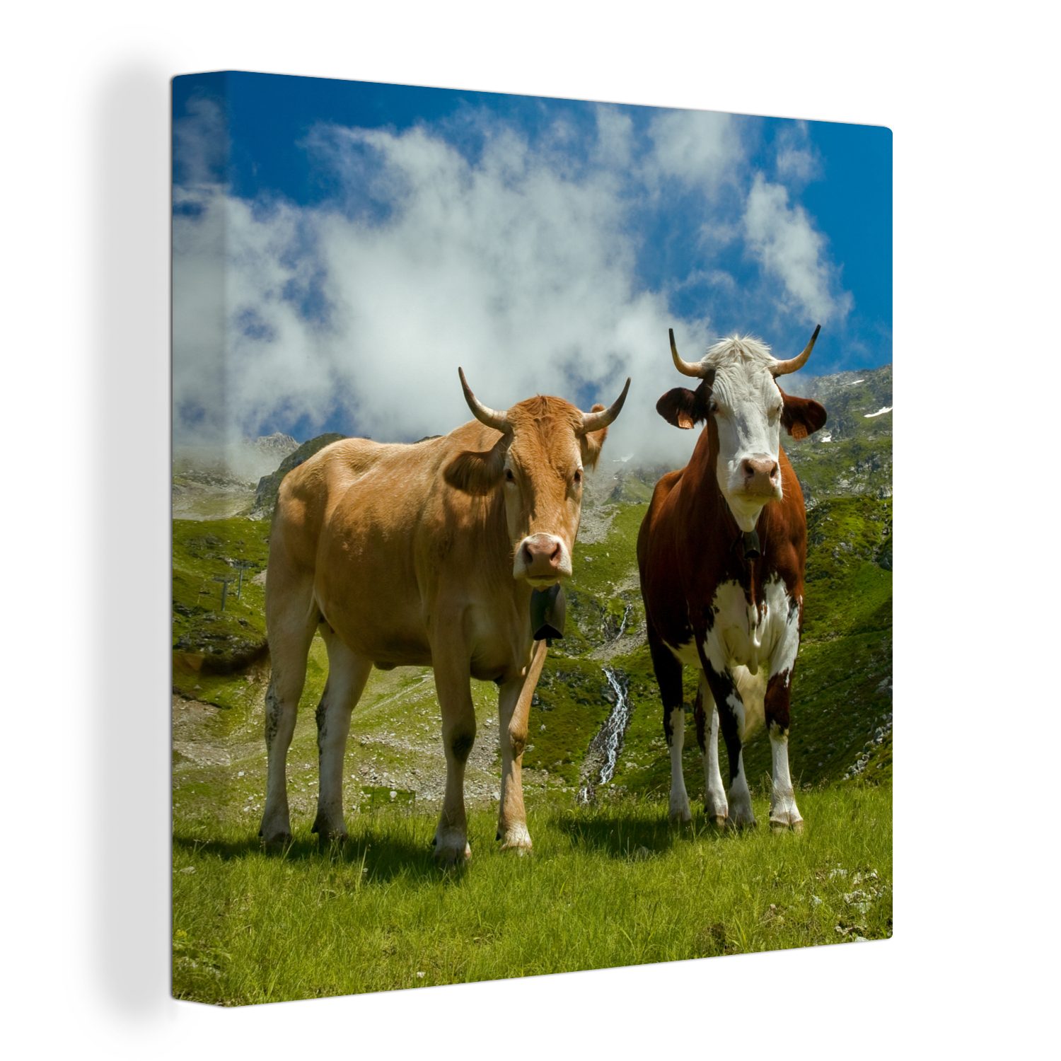 OneMillionCanvasses® Leinwandbild Kühe - Sonne - Landschaft, (1 St), Leinwand Bilder für Wohnzimmer Schlafzimmer