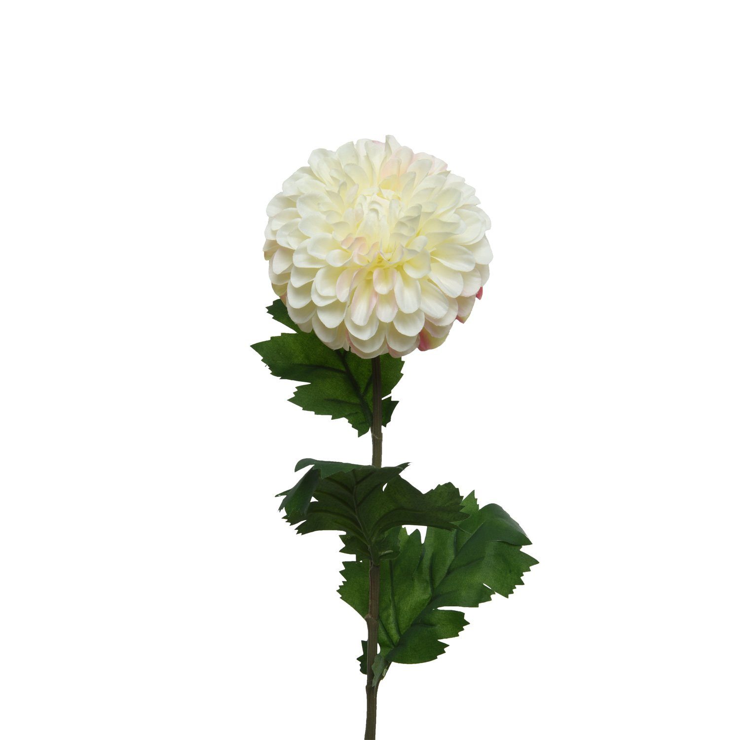 Kunstblume Dahlie am Stiel Pompon Kunstblume Stielblume Dekoblume H: 75cm creme, MARELIDA, Höhe 75 cm