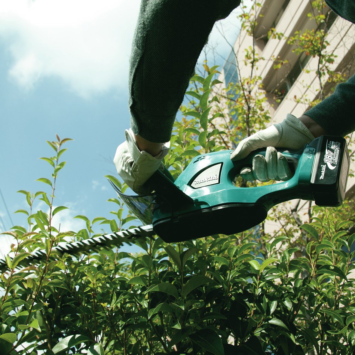 Makita Akku-Heckenschere DUH523Z günstig online kaufen