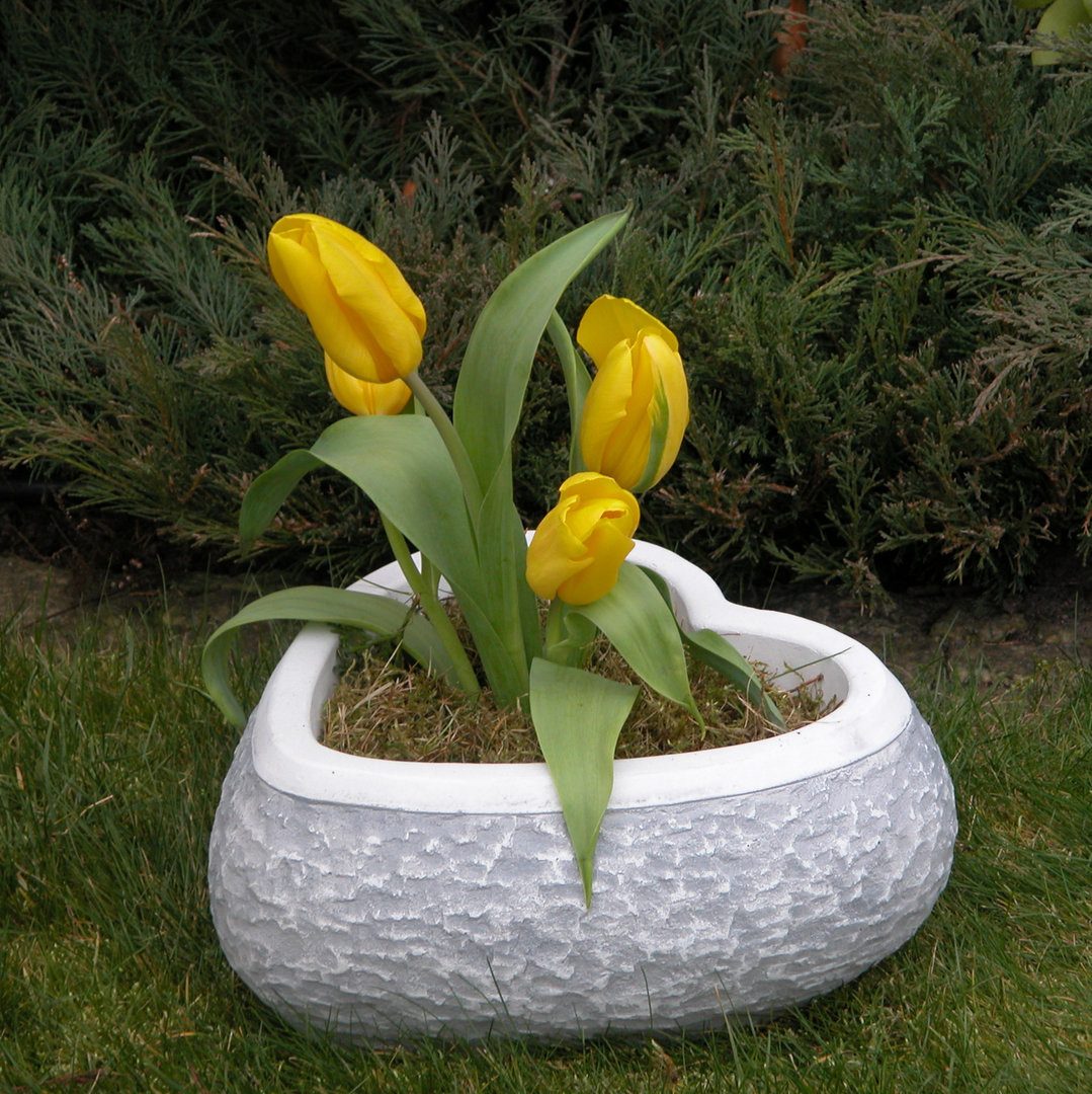 gartendekoparadies.de Pflanzschale Blumenschale in Herzform Pflanzgefäß, H. 13 cm, 3 Liter, 11 kg, Frostsicher