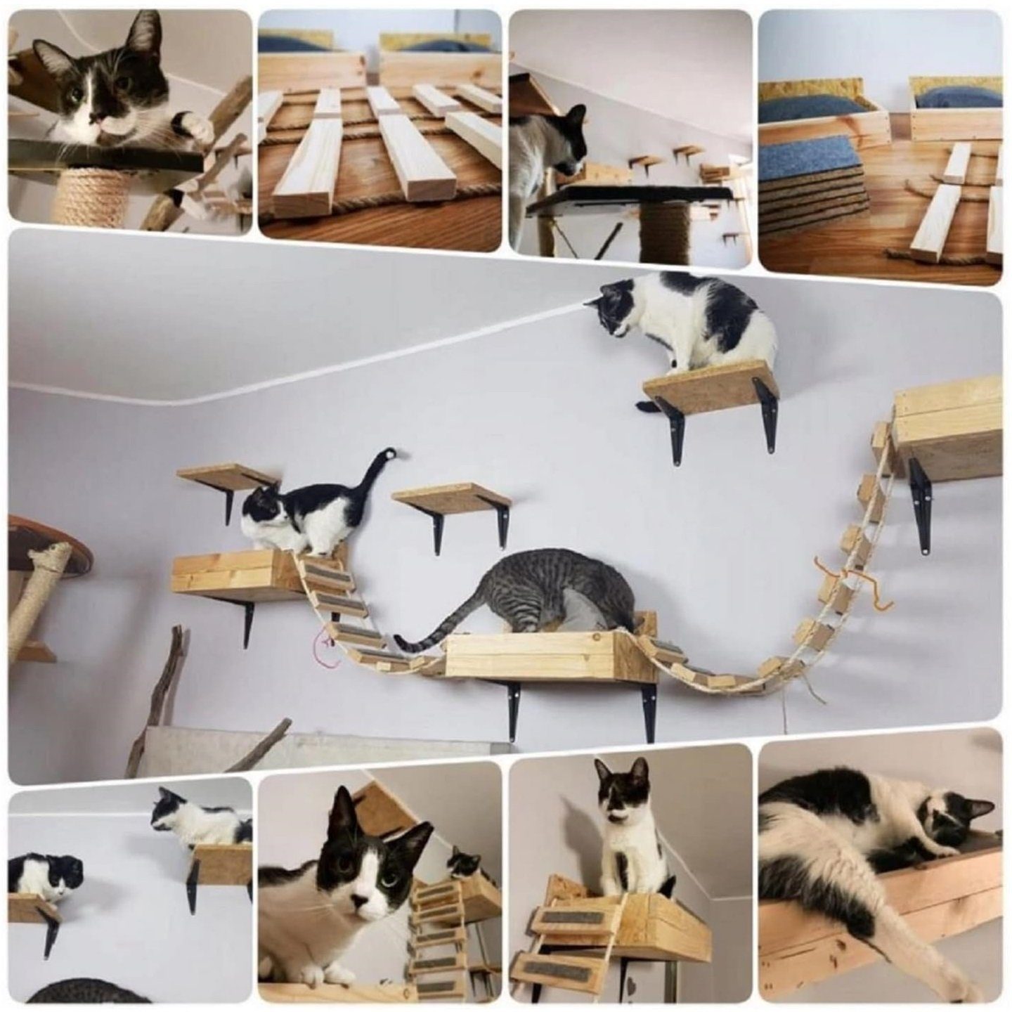 QLS Katzen-Kletterwand Wandmontage, Katzenliege Wandliege Katzenbett Katzenregal XXL