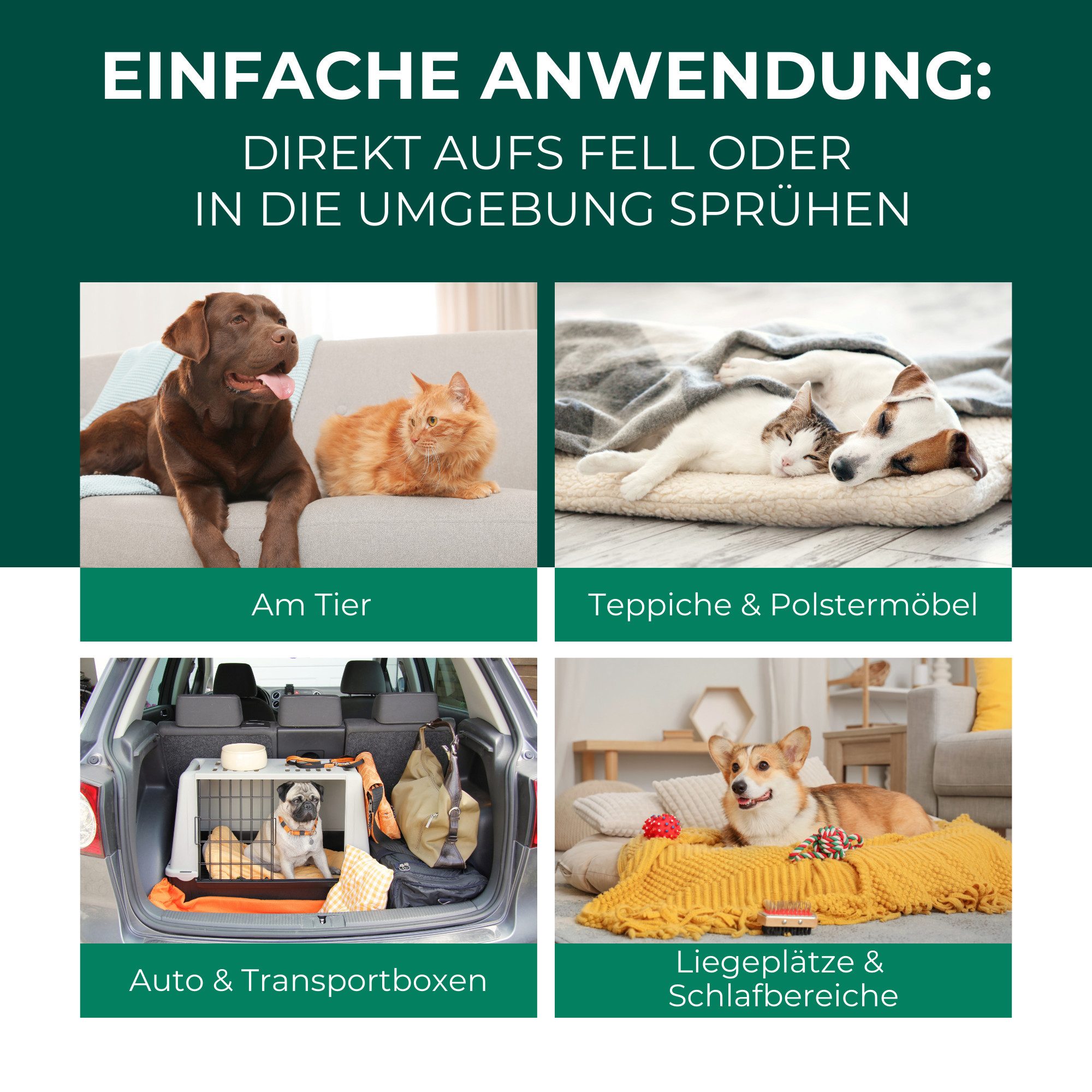 Silberkraft Insektenschutz-Spray Silberkraft Grasmilben-Ex Spray für Hunde & Katzen, effektiver Schutz lindert Juckreiz, für Fell, Liegeplätze & Umgebung, Made in Germany, 1-tlg., gegen Ungeziefer, lindert Juckreiz, für Fell, Liegeplätze & Umgebung