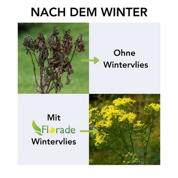 Florade Wintervlies Wintervlies - Thermovlies - Winter Pflanzenschutz - Frostschutz, 1.6m / 1m (Menge = Meter am Stück) / 19g/m² (Leichter Schutz)